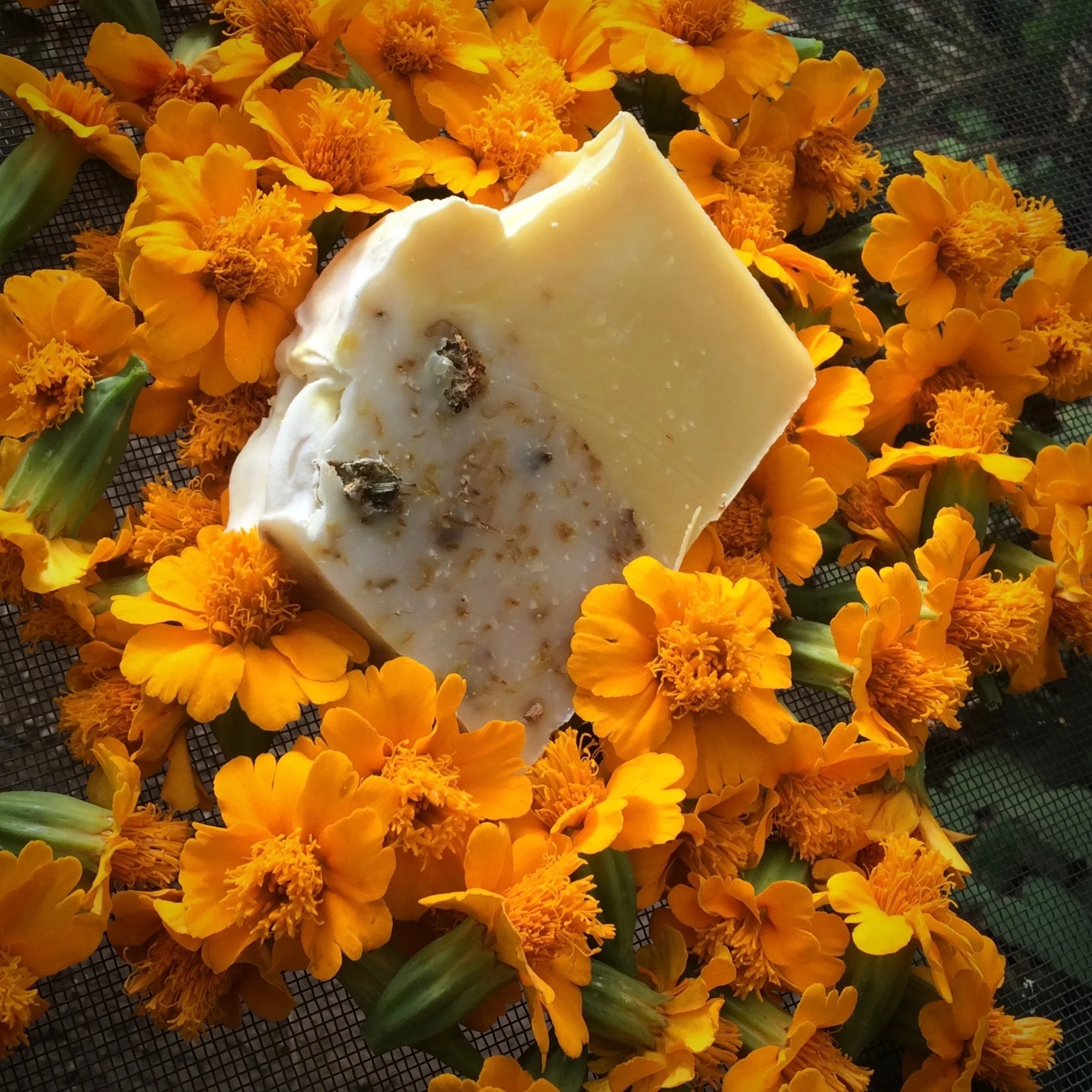 Sunshine Soap