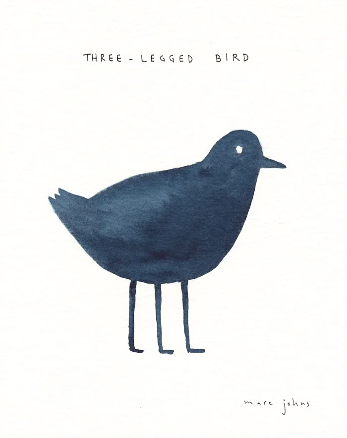 three-legged-bird-700.jpg
