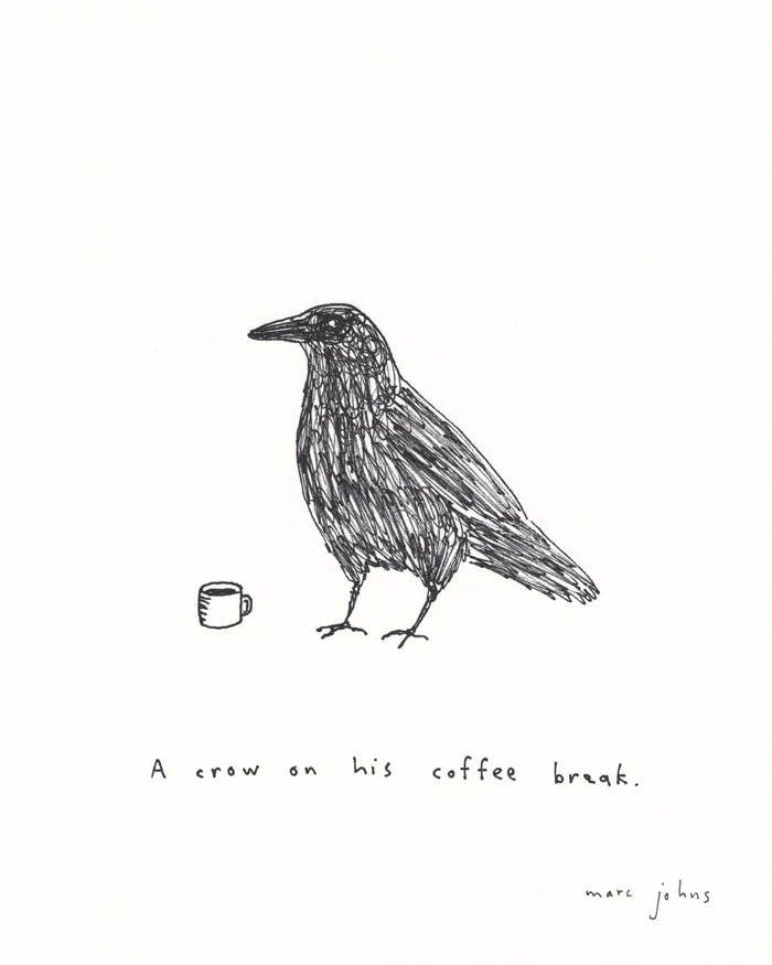 crow-coffee-break-700.jpg