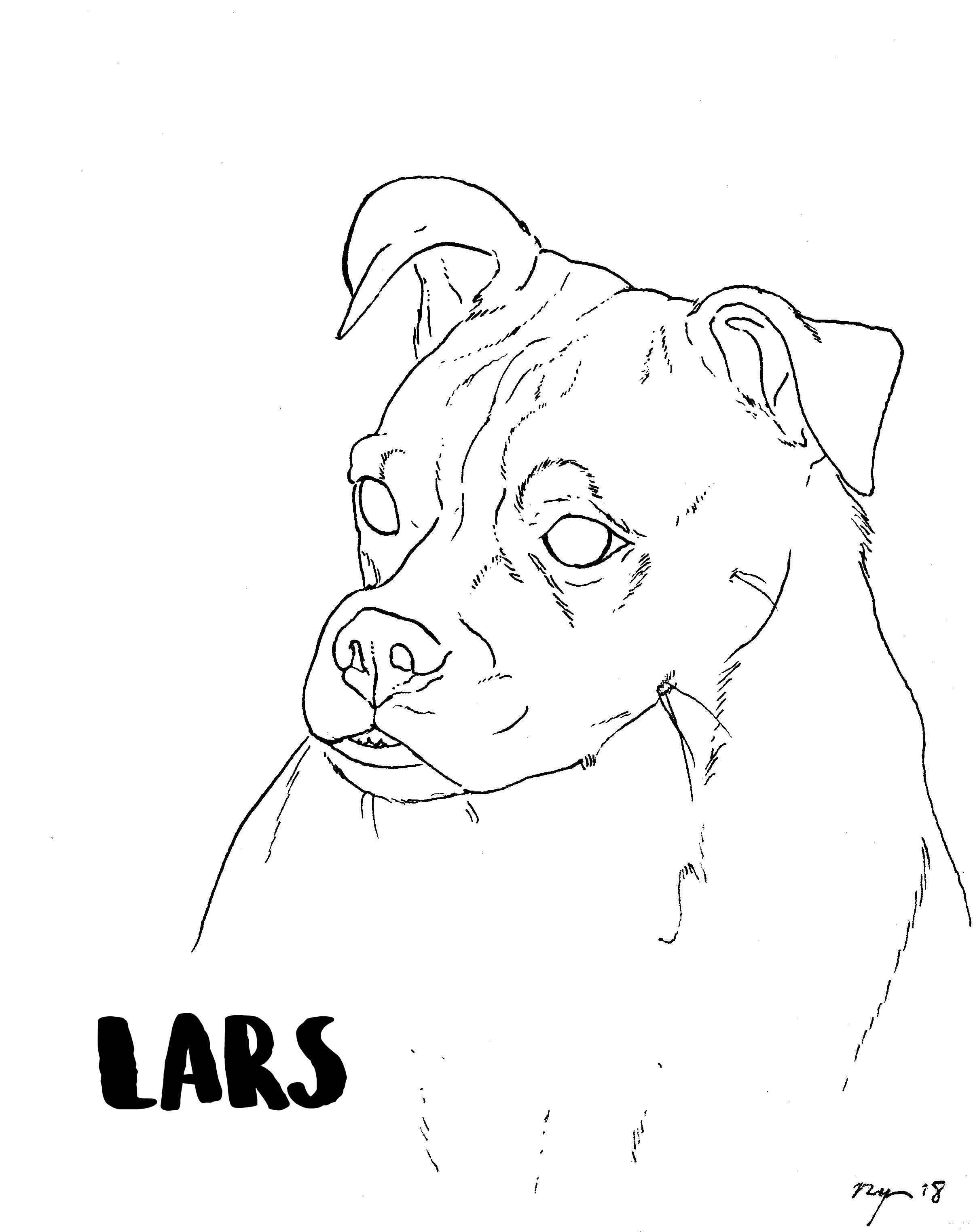 LARS COLOURING BOOK PAGE