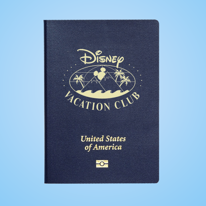DVC.png