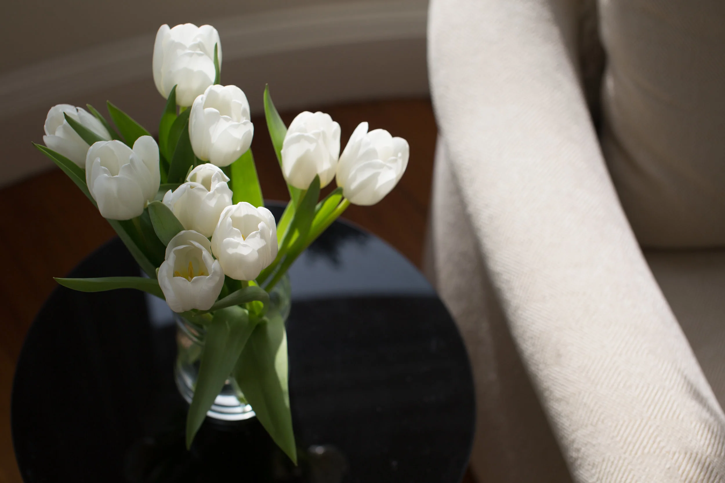4L8A1108-2-Edit.jpg