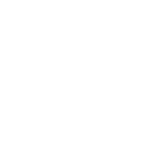 OFFICIAL+-+VENICE+-+best_feature_film white.png