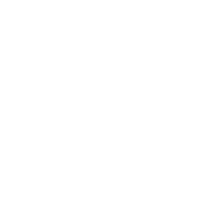 OFFICIAL+-+Florence+-+Best+Feature+Film+white.png