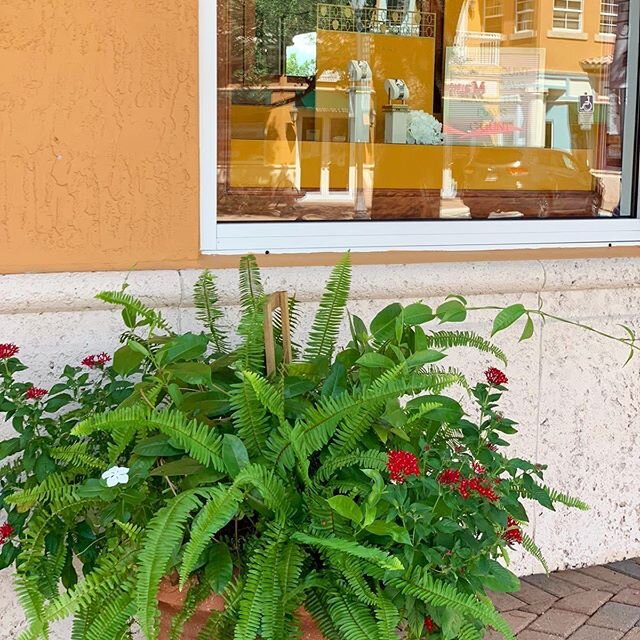 Beautiful Weston Days 🍃🌹✨ So lucky to call Weston Town Center home 🏠 to book appointments for salon 💇🏻&zwj;♂️ or spa 🧖🏼&zwj;♀️ call (954)358-4868