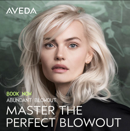 Master_the_Perfect_Blowout_-_Static.png