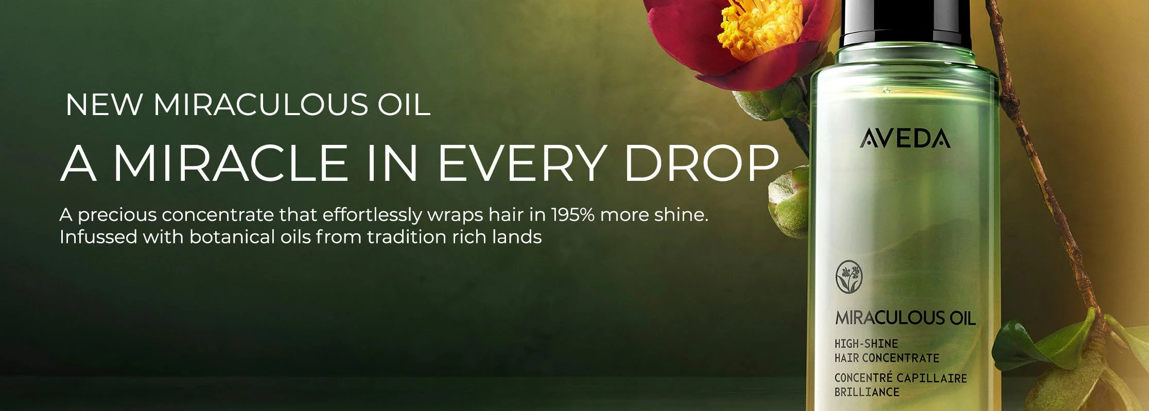 best natural product for your hair copy.jpg