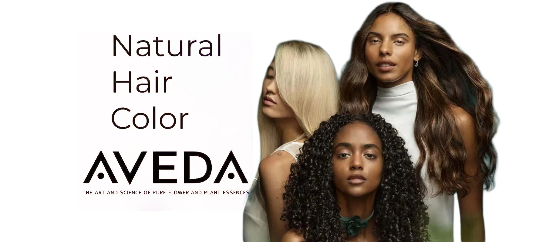 Favorite hair salon in Weston Florida.jpg2 copy.jpg