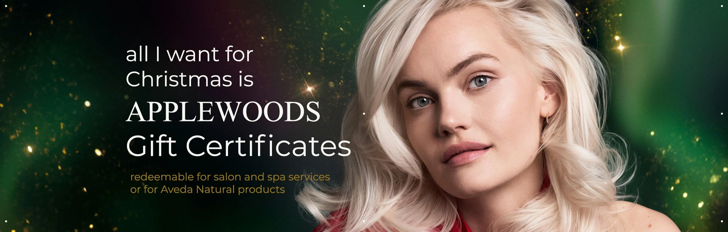 Best Gift for the Holidays copy.jpg