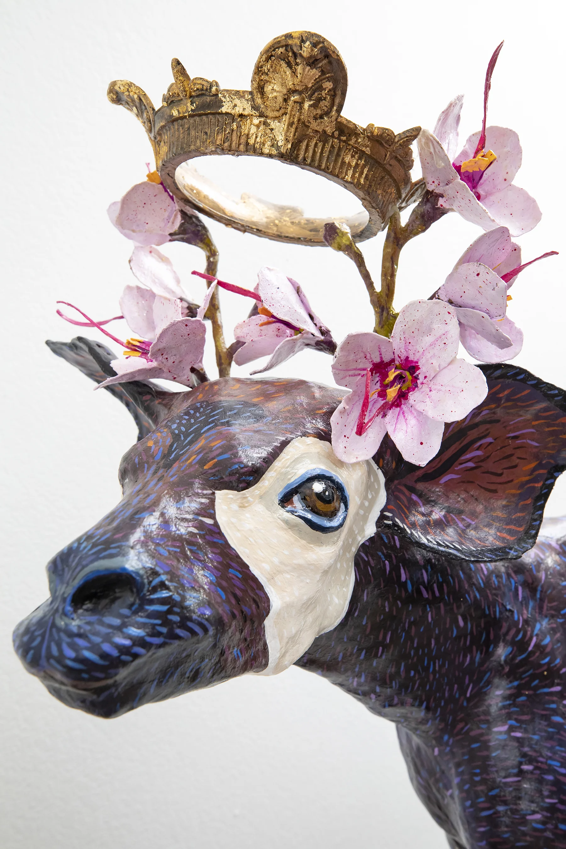 Okapi