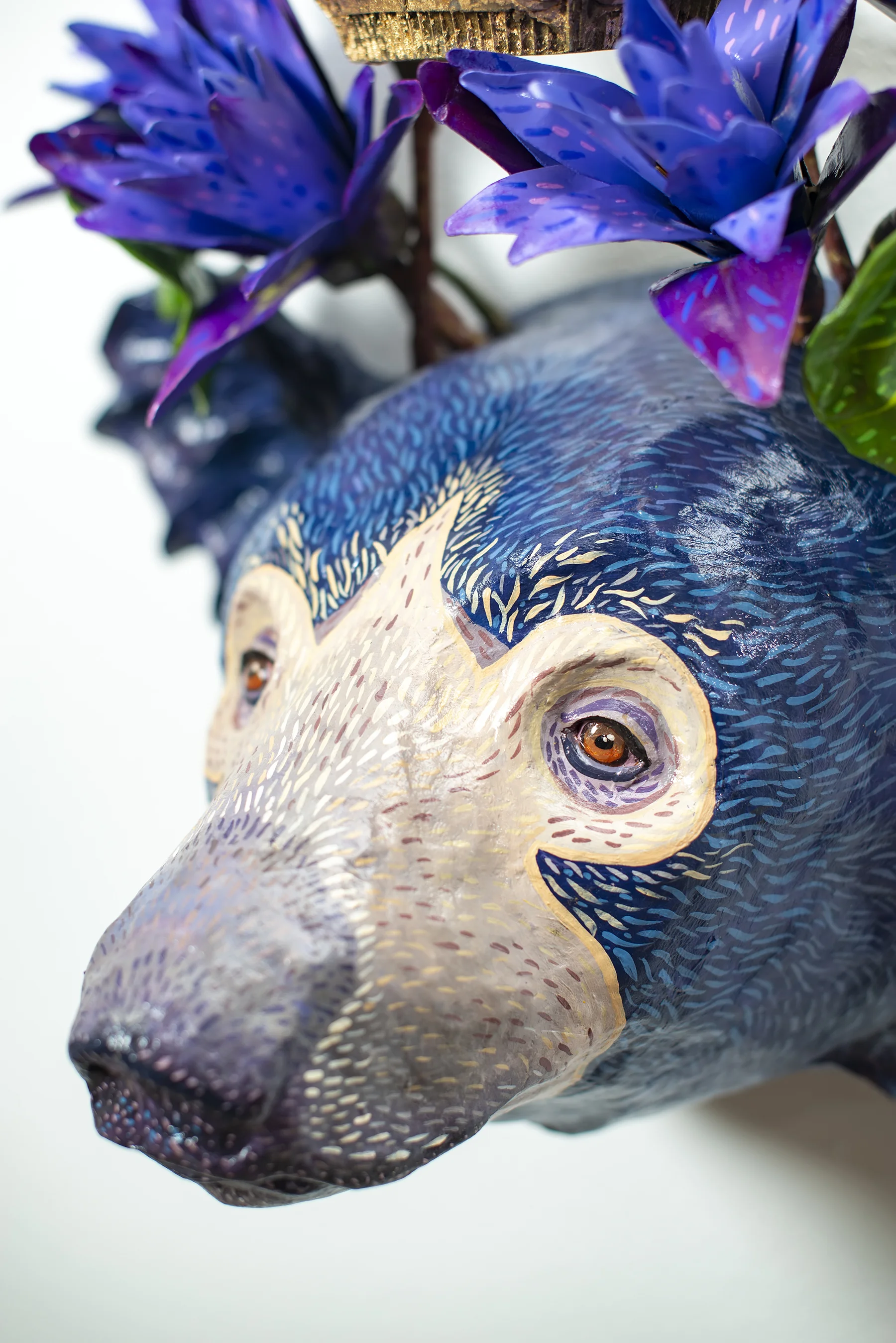 Sloth Bear