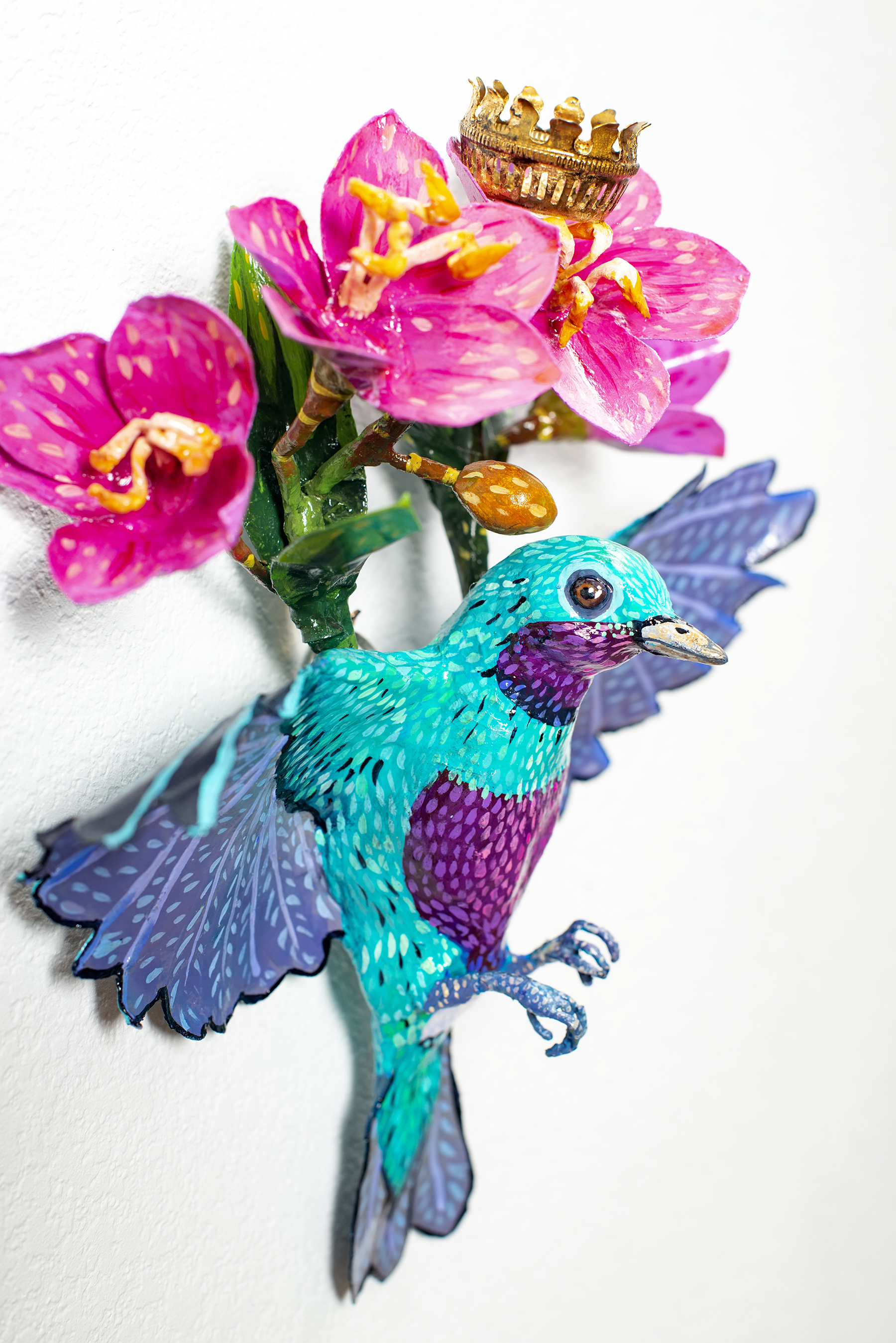 Banded Cotinga
