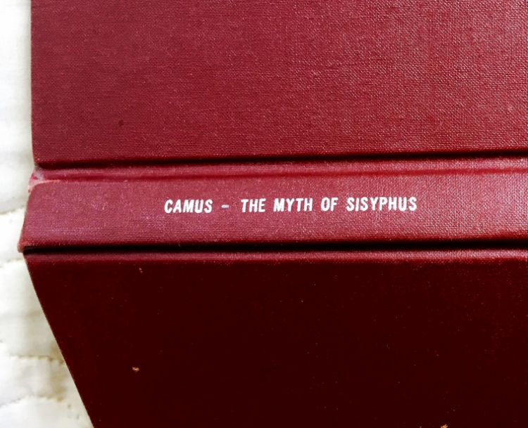 SG15.jpg