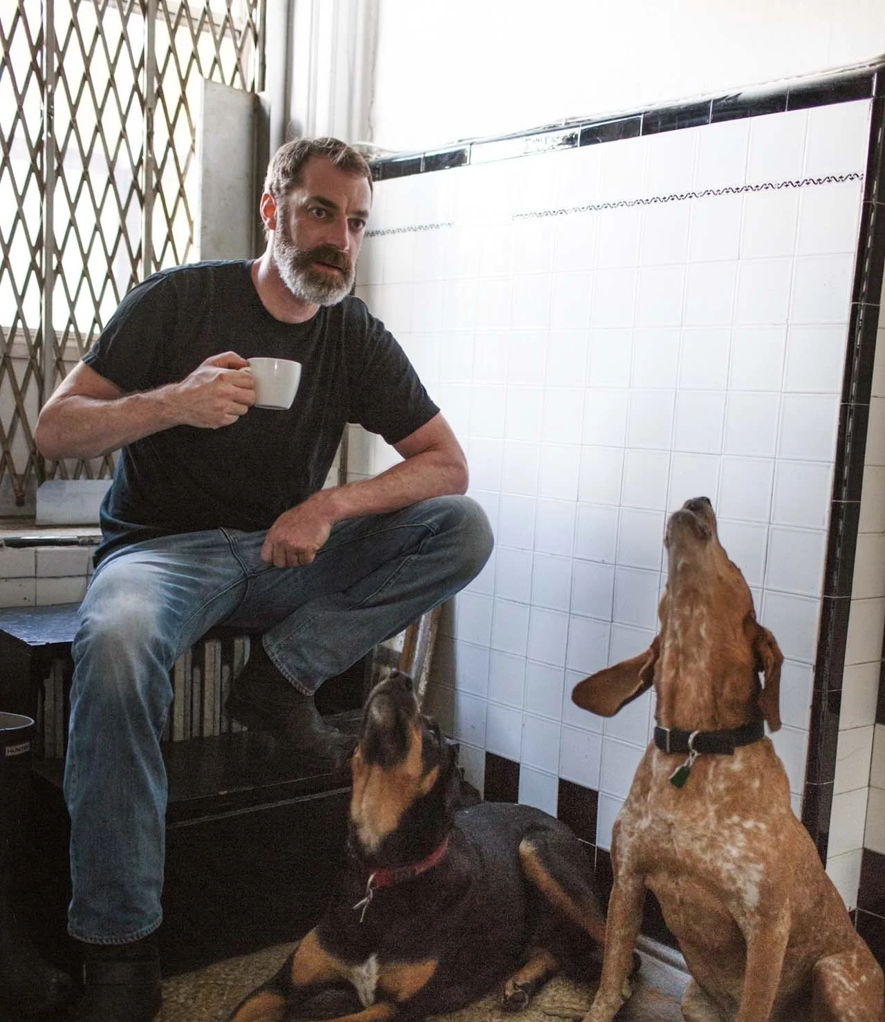 A BOOKSHELF ODYSSEY: BRYAN CALVERT'S