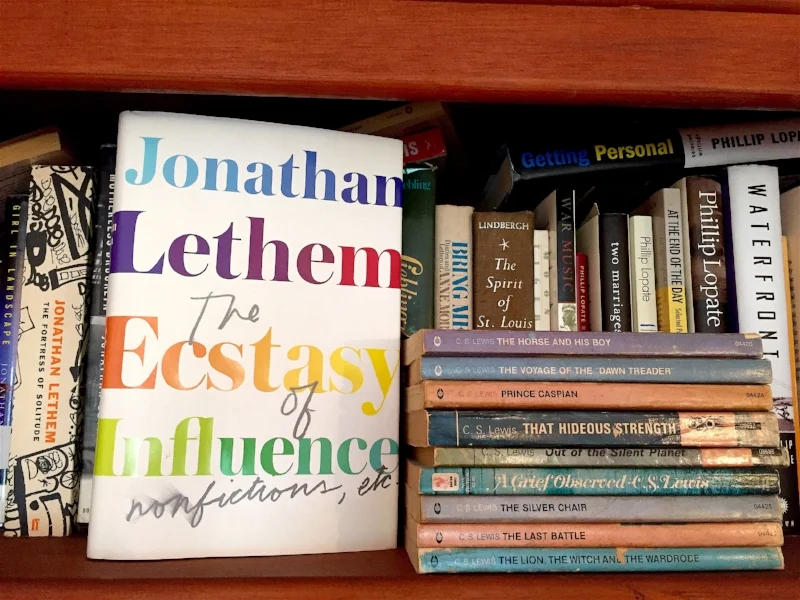 LETHEM SHELFIE.jpg