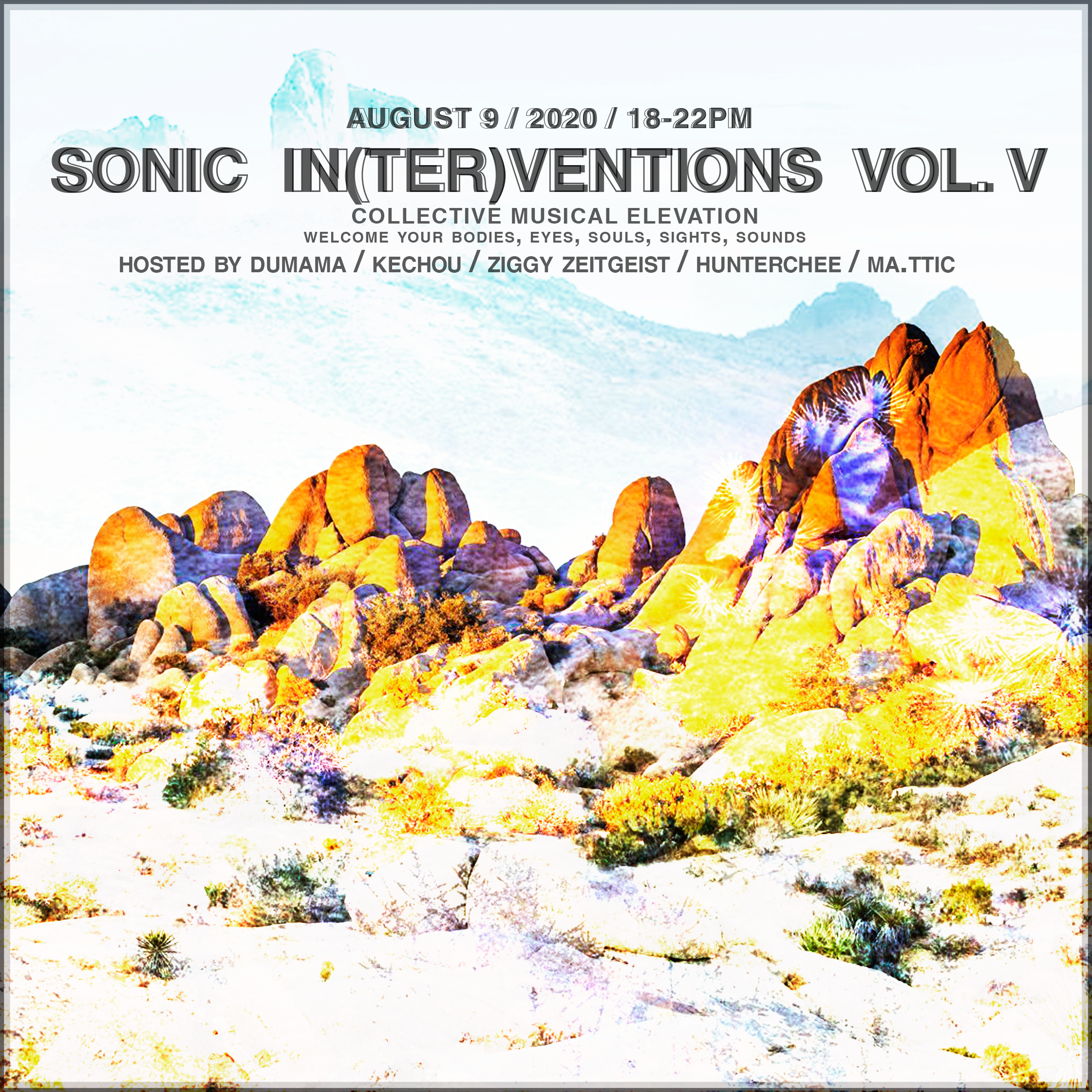 SONIC-INTERVENTIONS-5.png