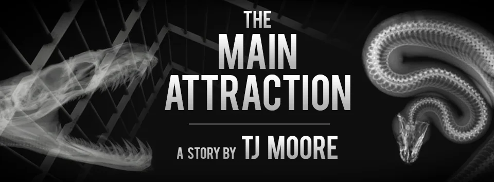 MainAttraction_FB_Cover_2.jpg