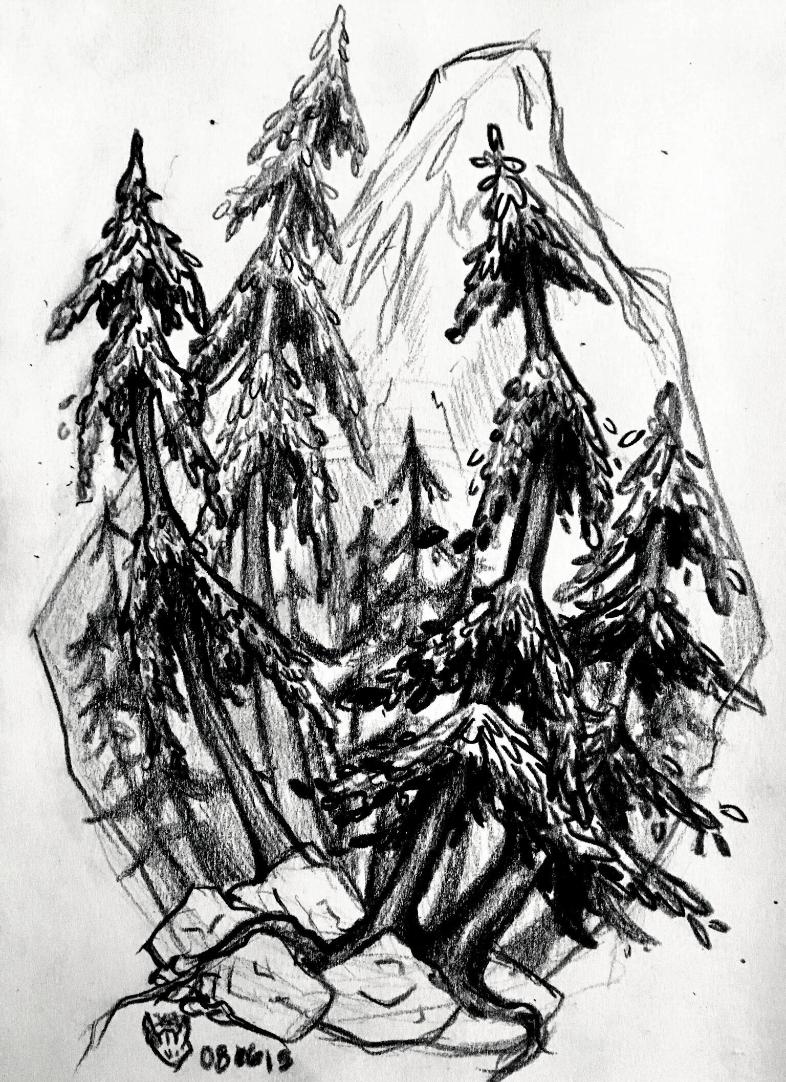 Rocky Mountain Pines