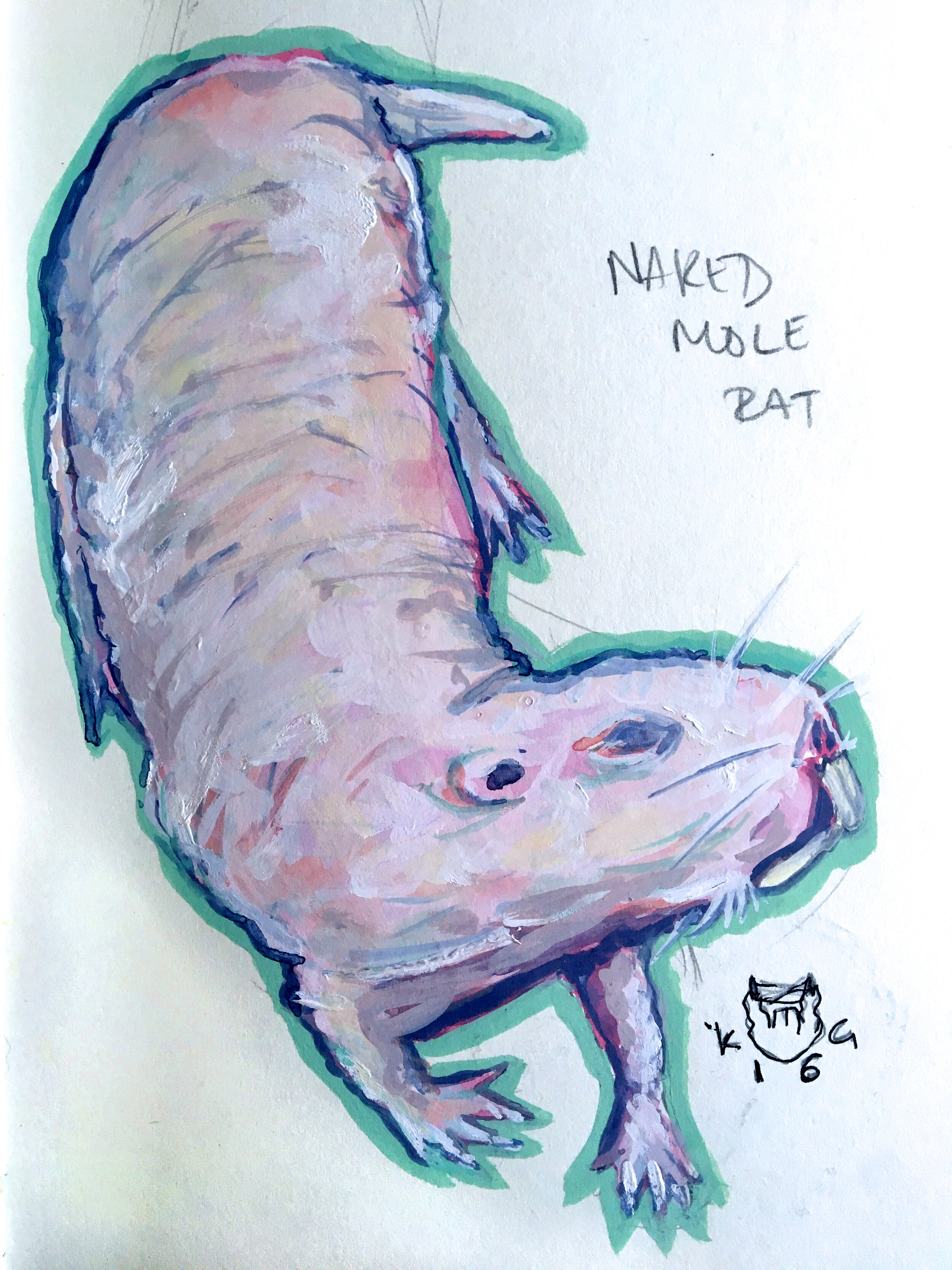 Naked Mole Rat