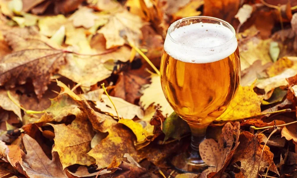 Vessel Liquor Store Victoria, BC