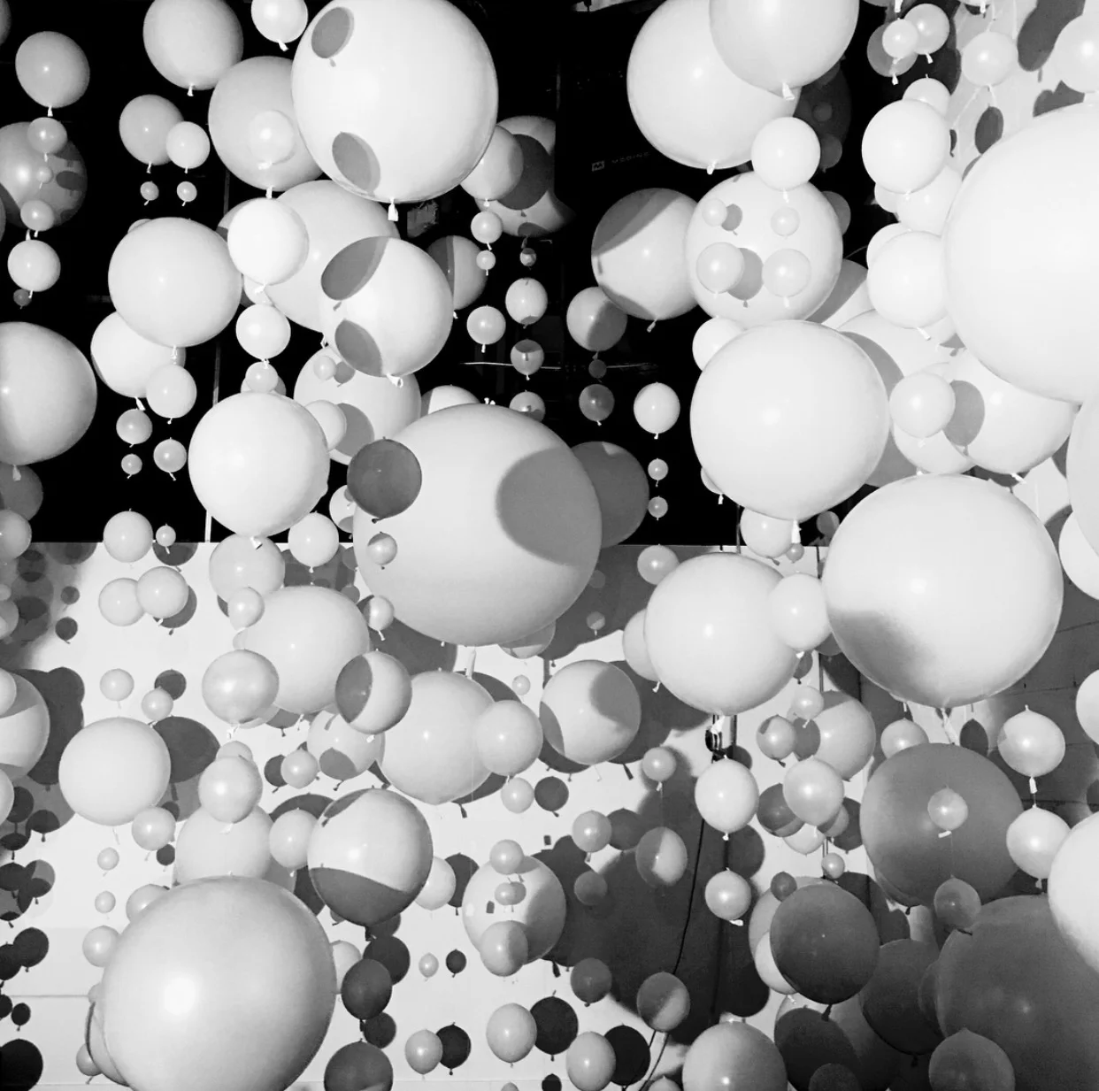 Balloon — Brooklyn Balloon Company