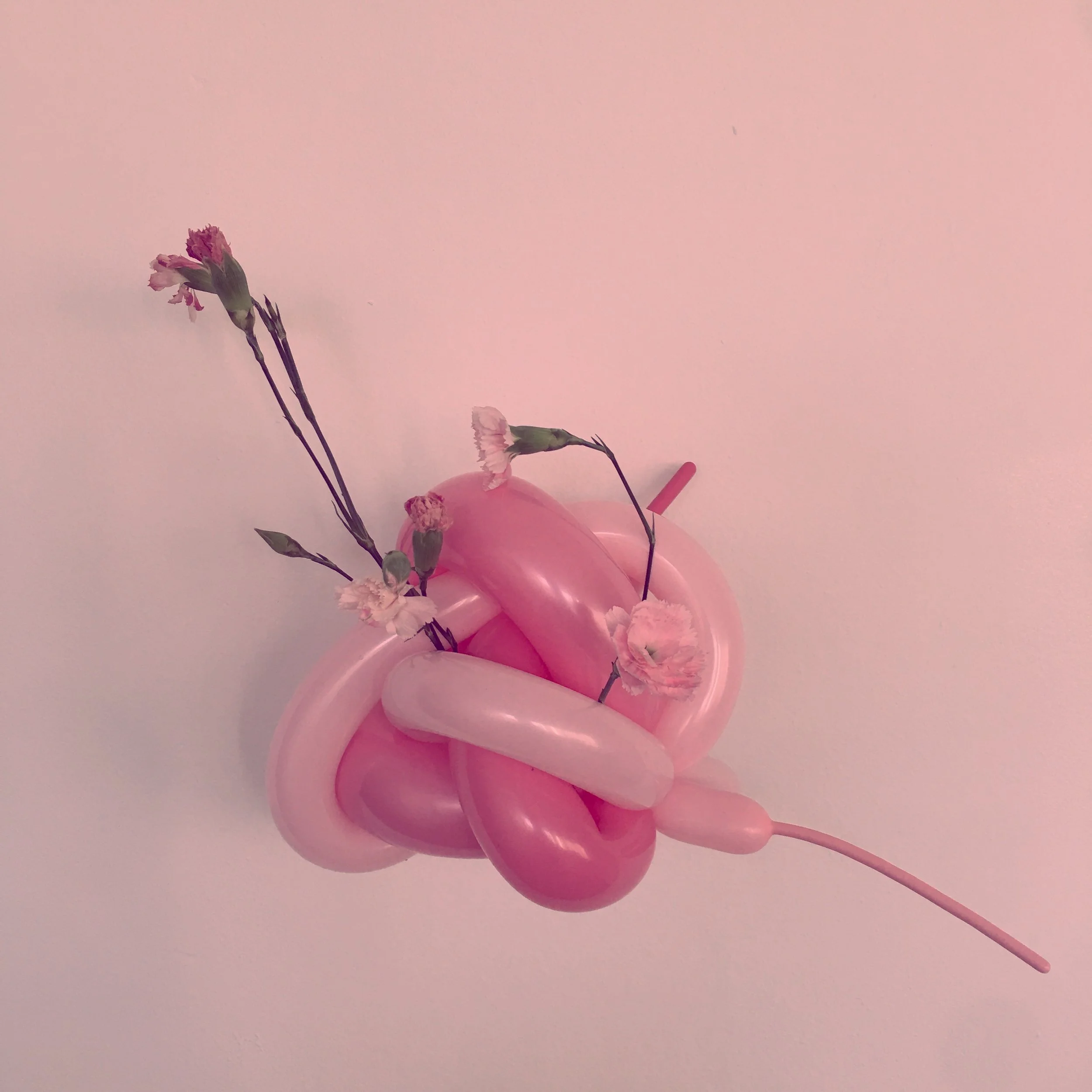 Balloon — Brooklyn Balloon Company