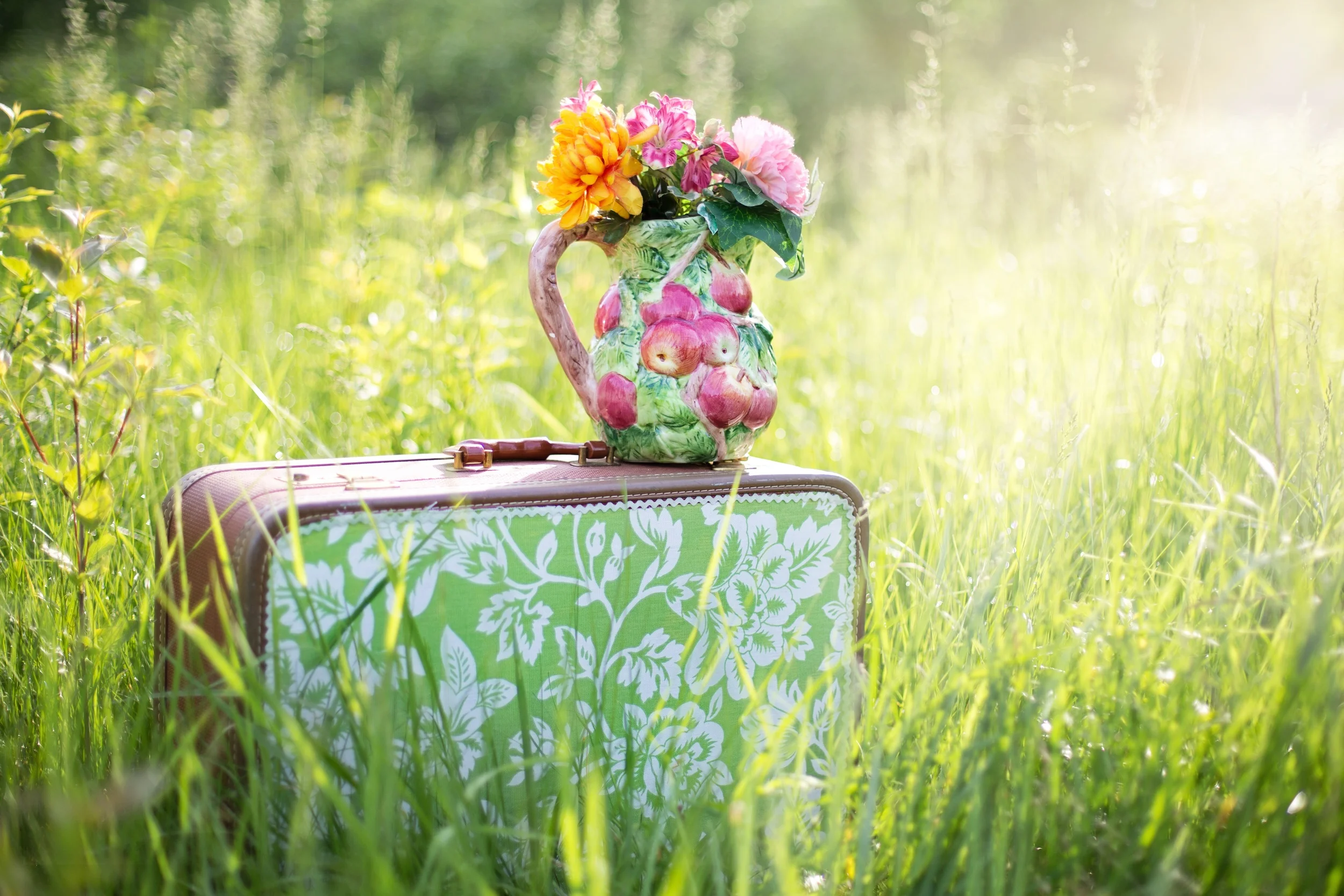 suitcase in a field of grass with a jug of flowers on top