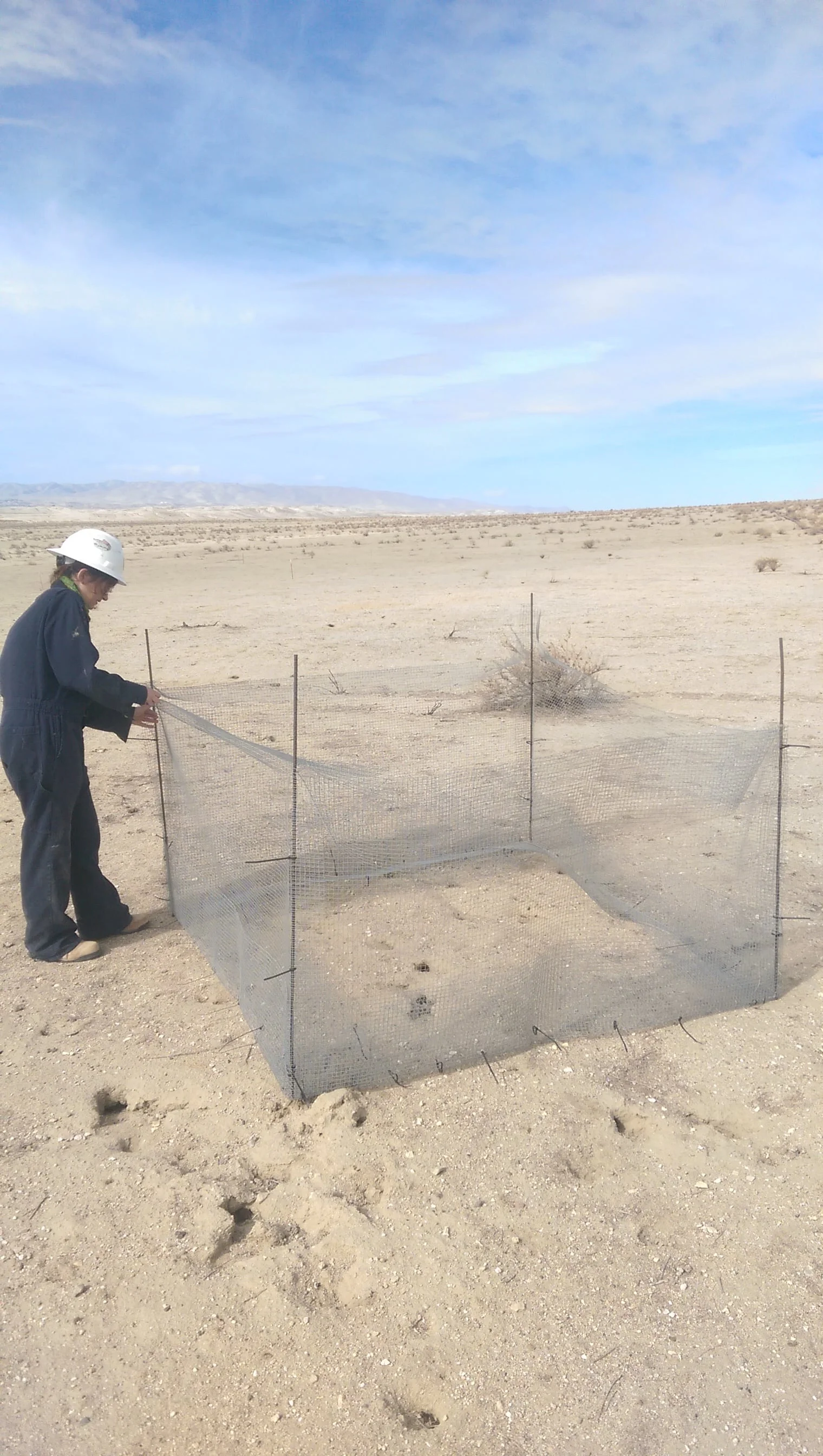 Giant Kangaroo Rat Relocation Study