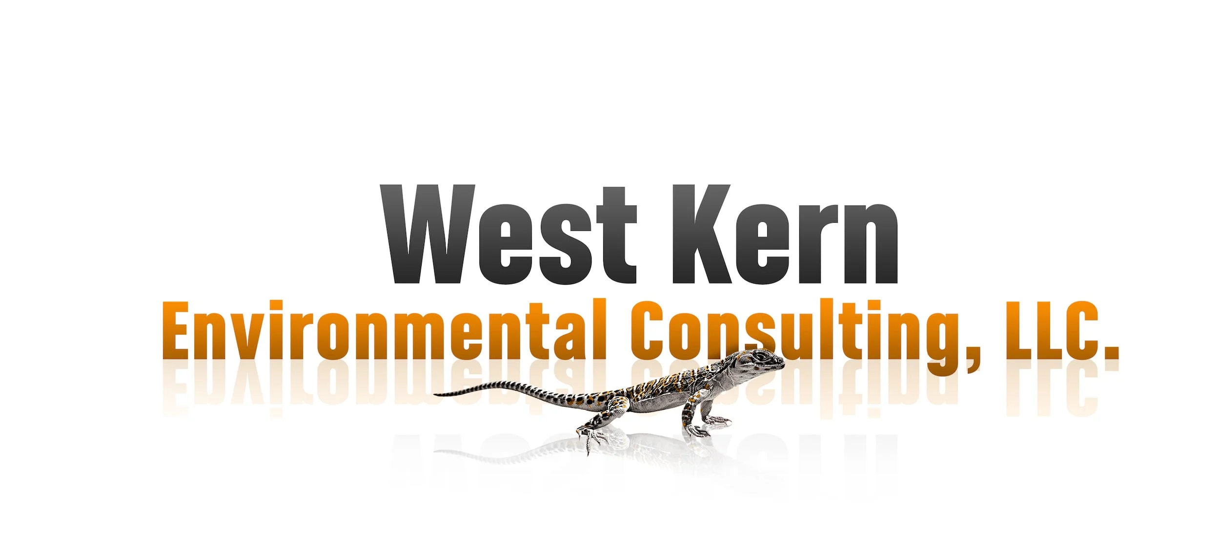 WKE_001_Logo_V2_R4_FLAT small.jpeg