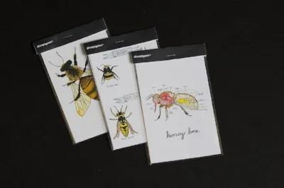 Bee Postcard