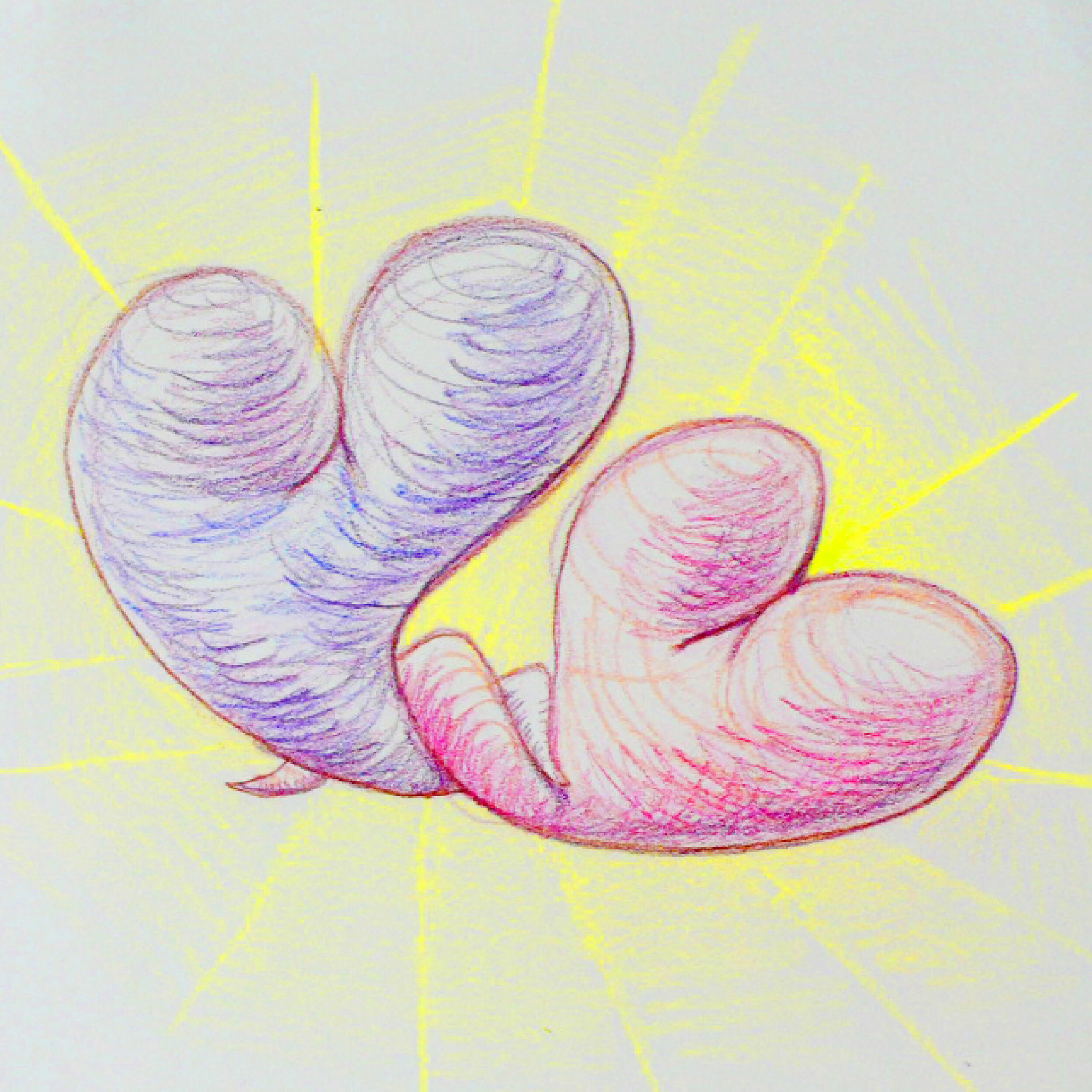 Entwined Heart Drawing