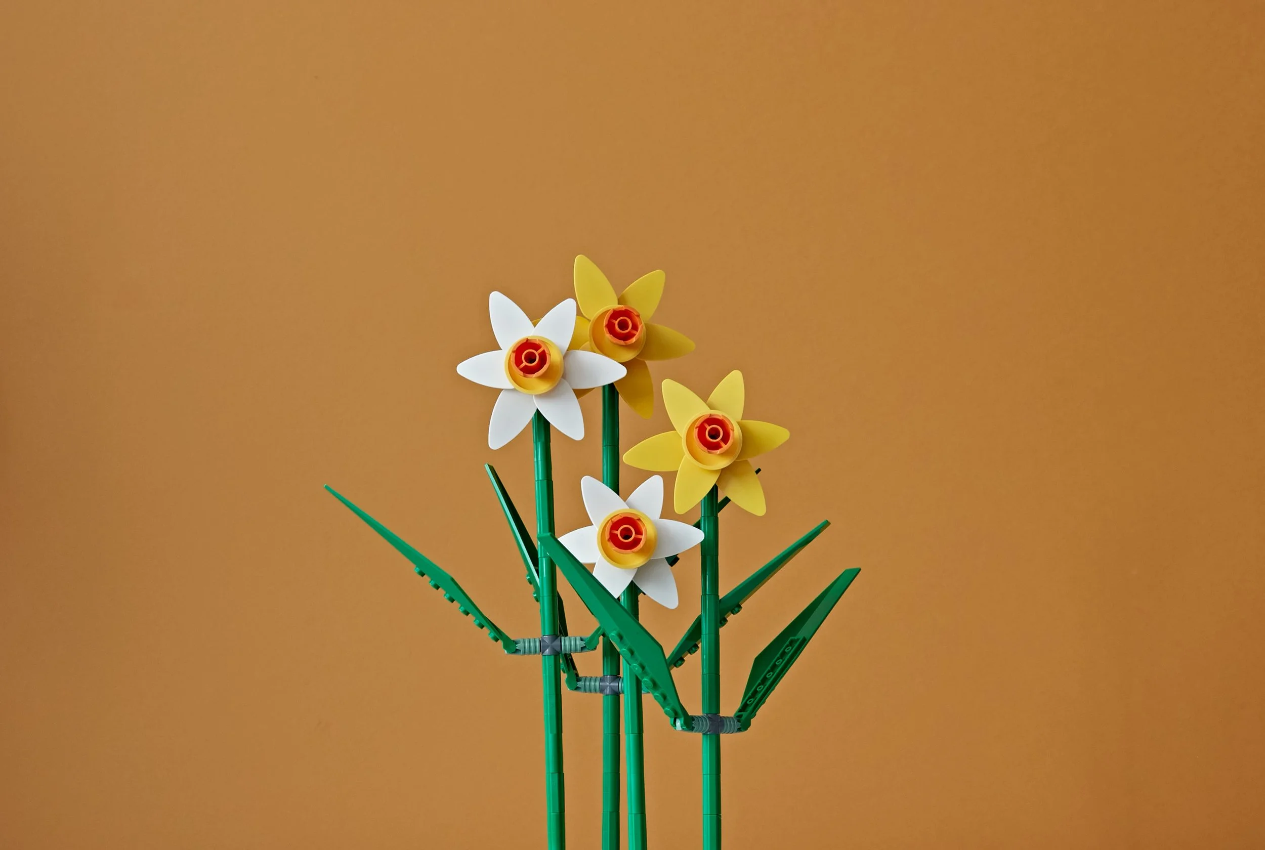 2023_0816_Lego_0002 1.jpg