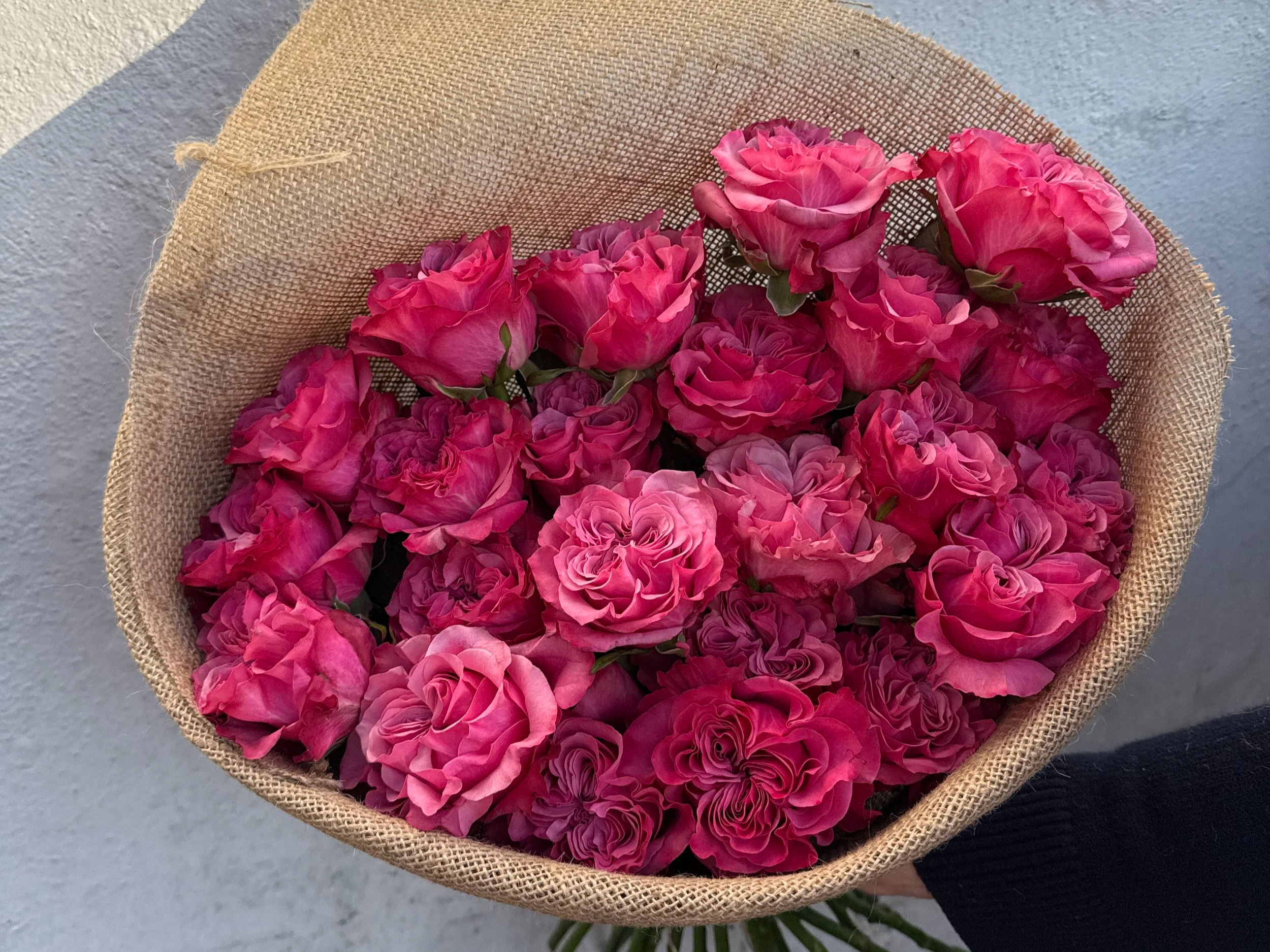 VALENTINES DAY FLOWERS