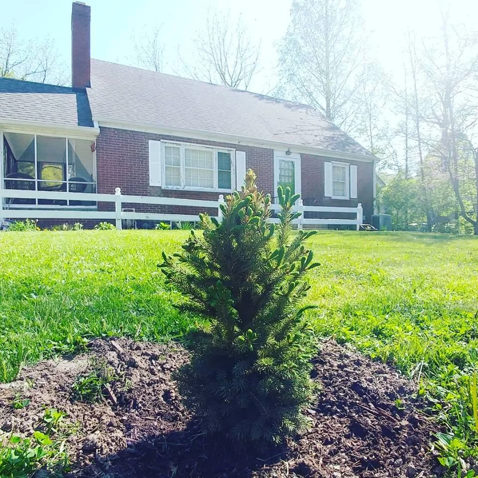 Hands in the Soil