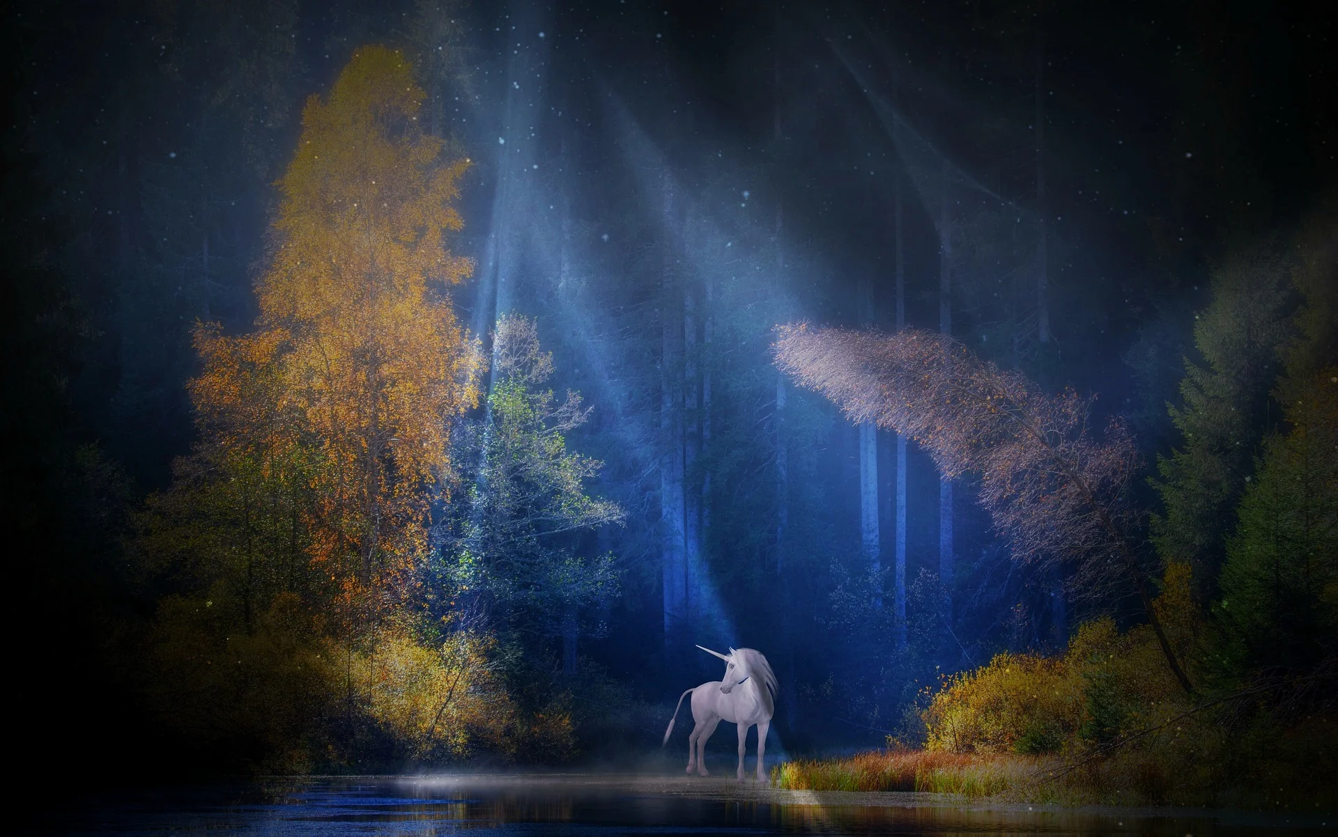 The Year of the Unicorn - Lesson 2: Change is the Only Constant