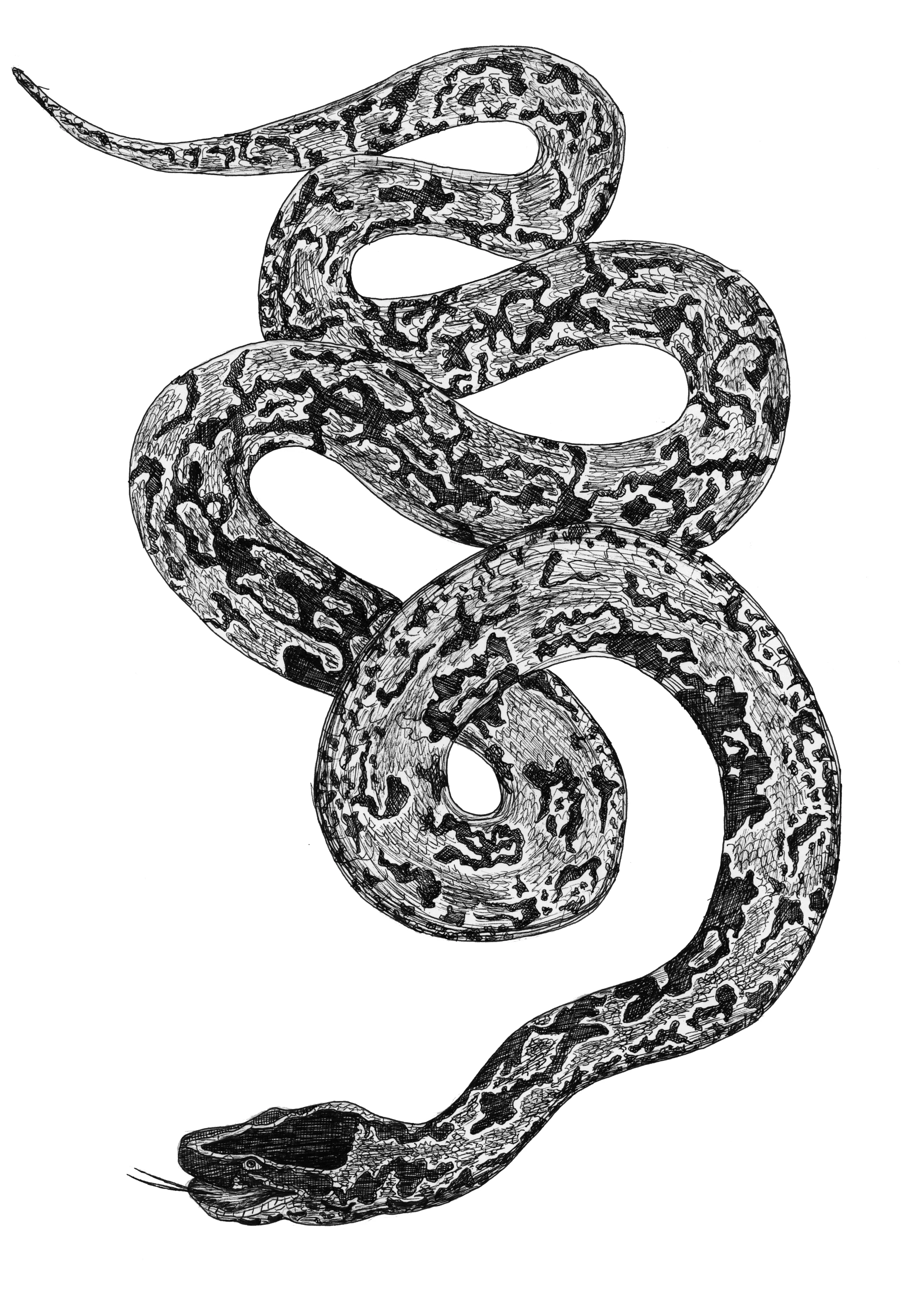 Study of Serpent