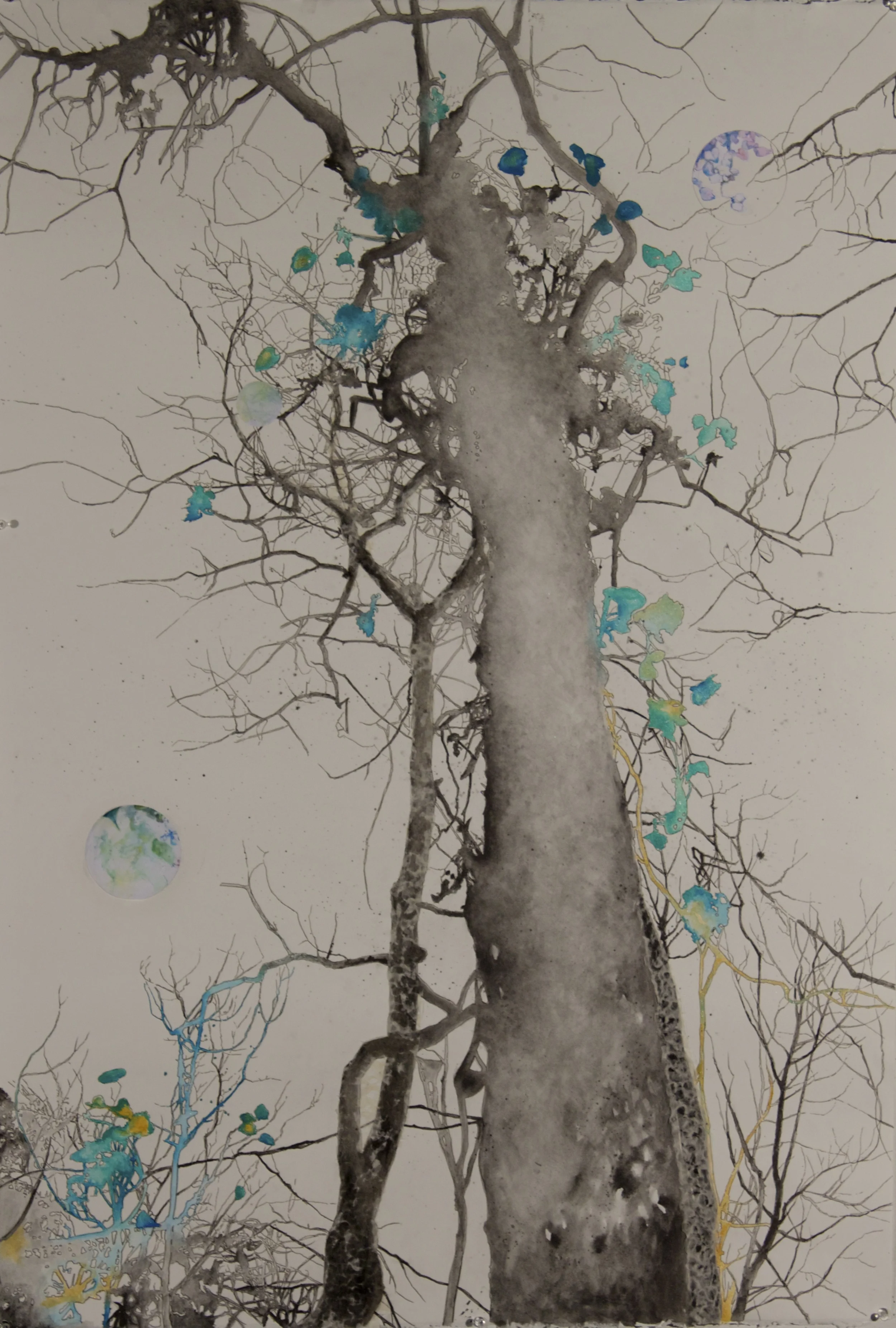Those That Live Amongst The Trees