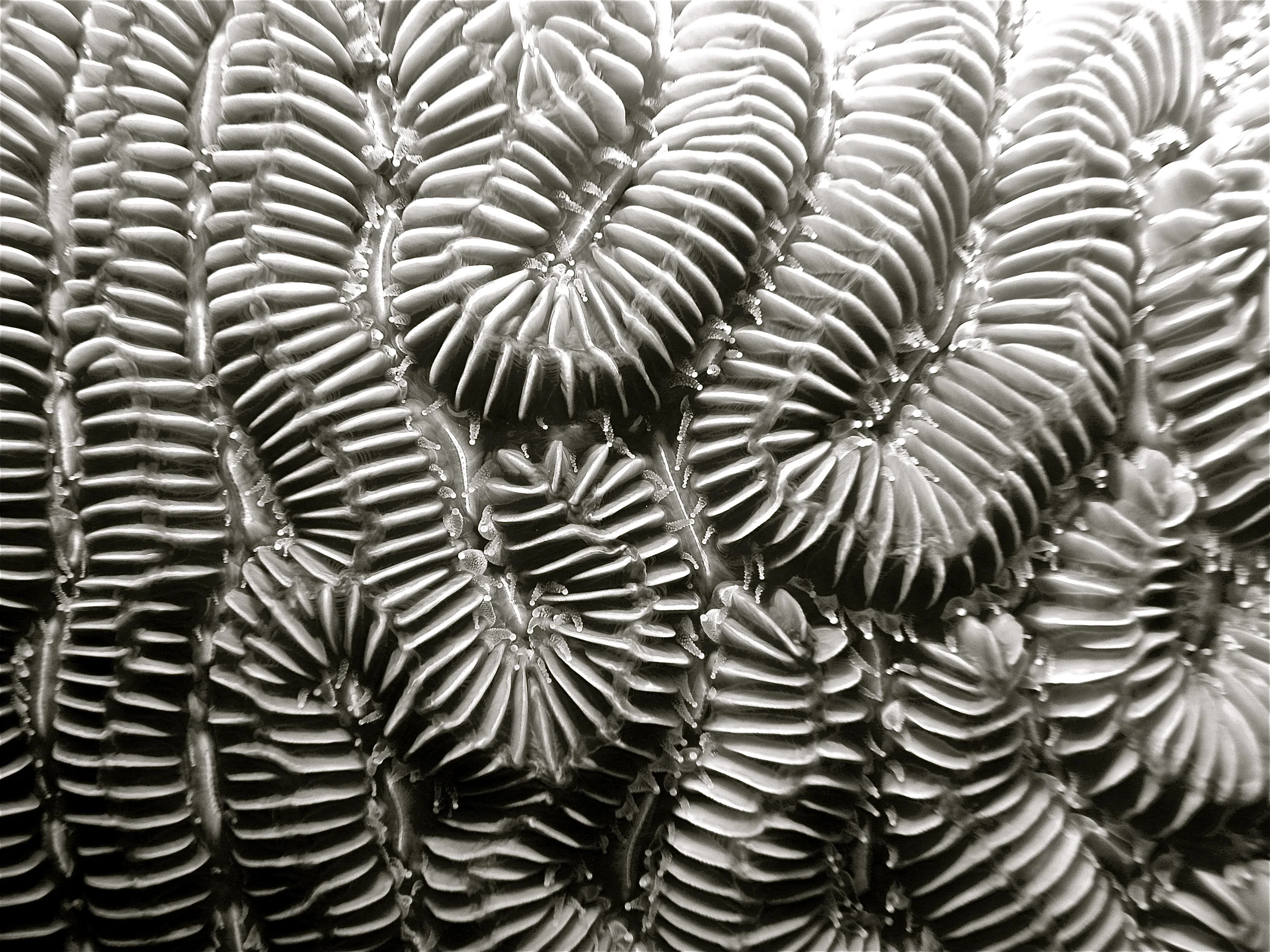 Finding your bliss...