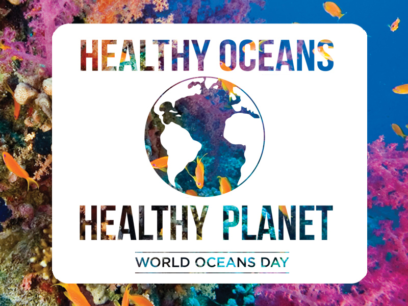 world oceans day.jpeg