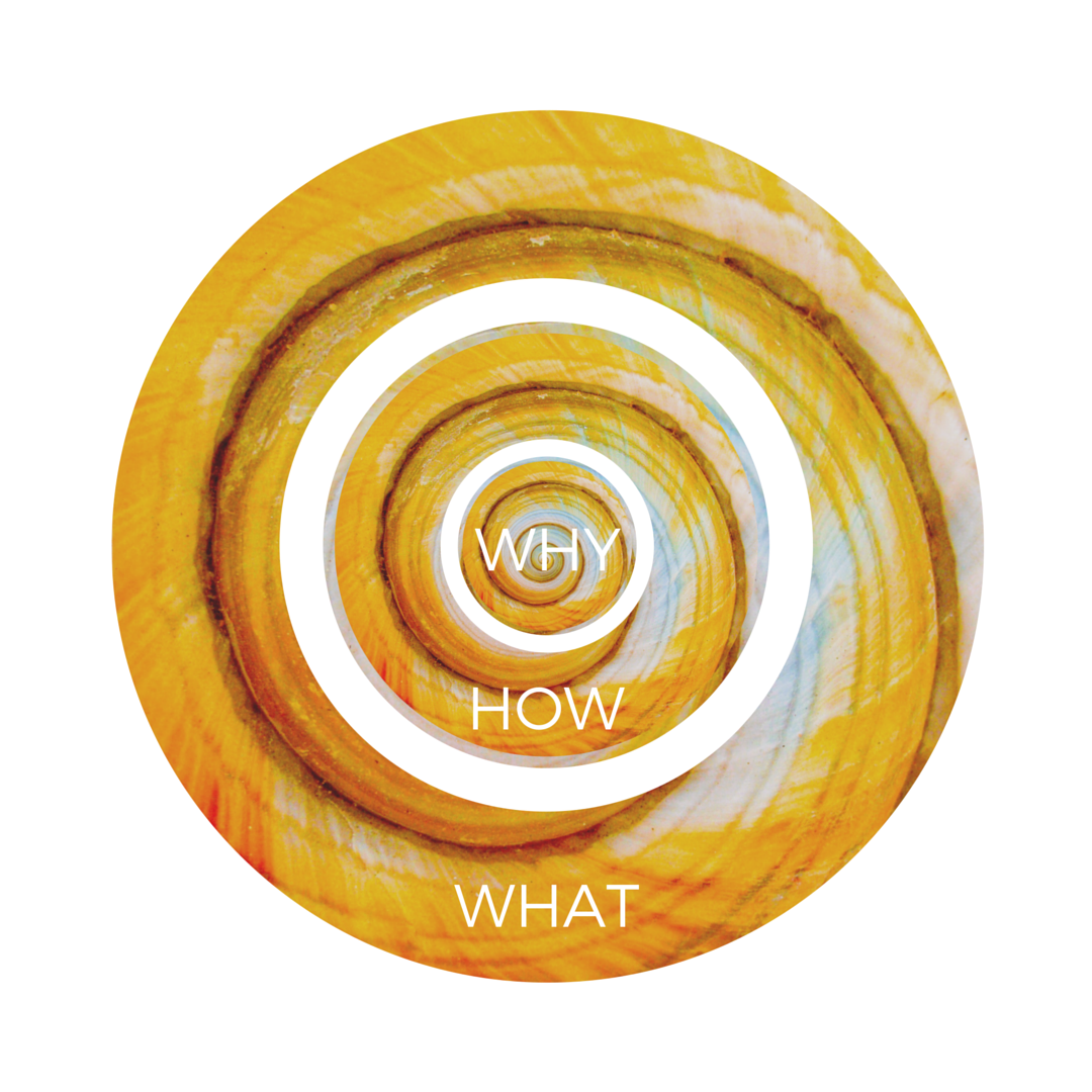 The WHY, HOW, & WHAT that make up the Golden Circle