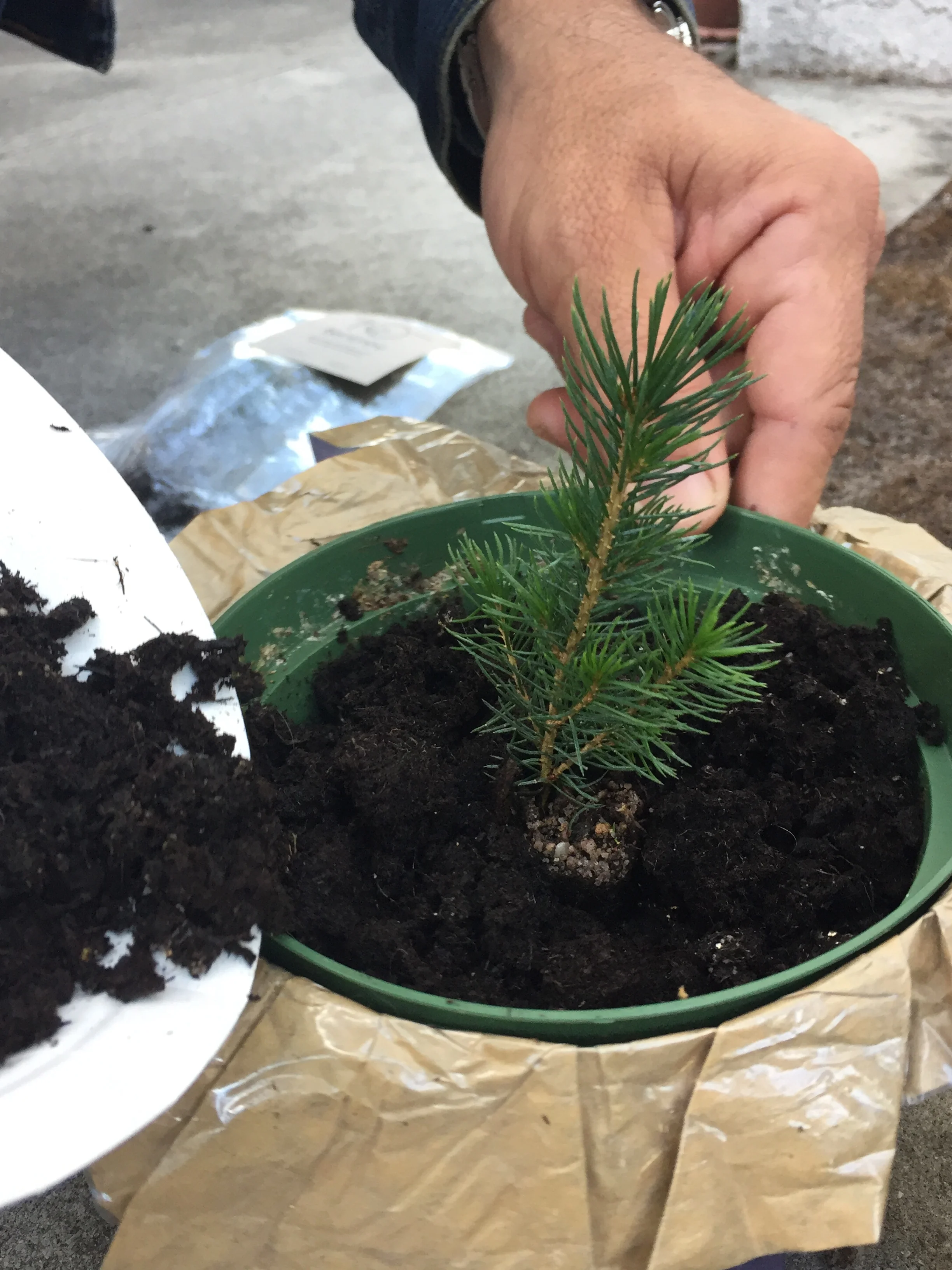 The Swell of Purpose in Business