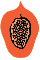 Papaya_Color-01.png