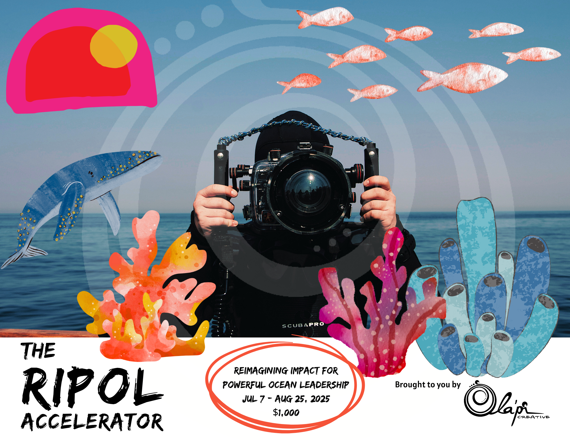 The RIPOL Accelerator_Flyer small.png