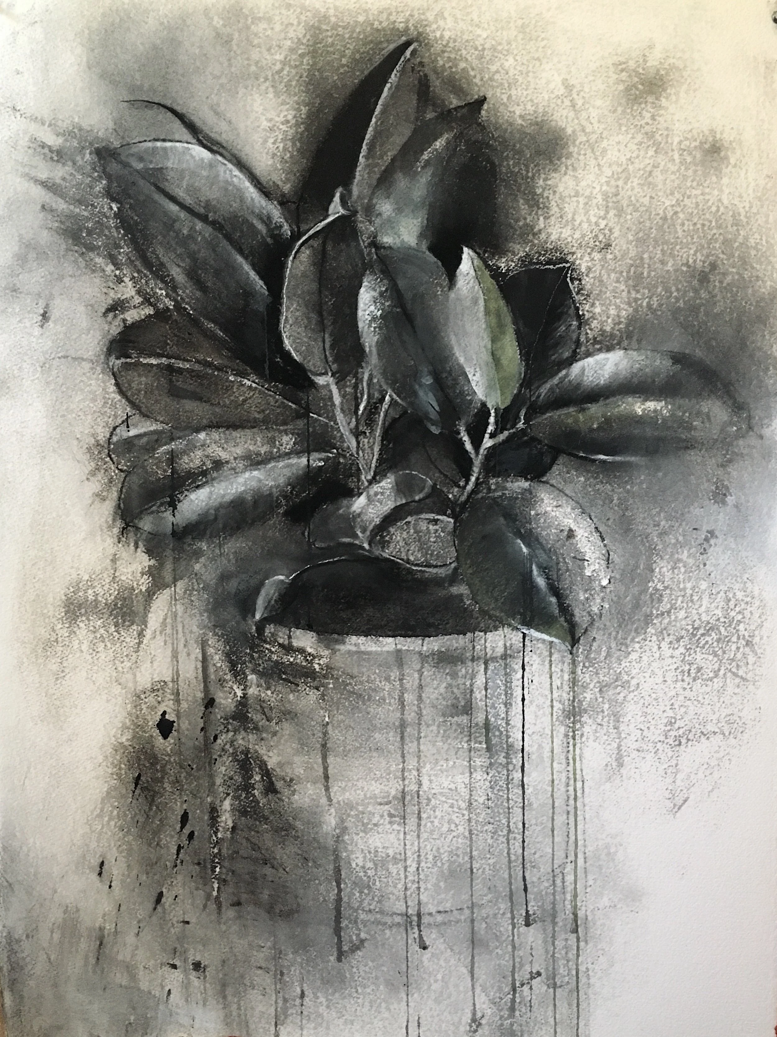 Penny 30 x 22 Charcoal, Pastel, Acrylic on Arches