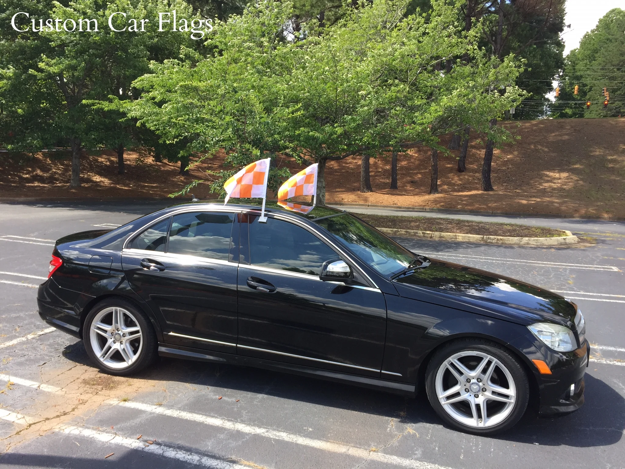 car flags.JPG