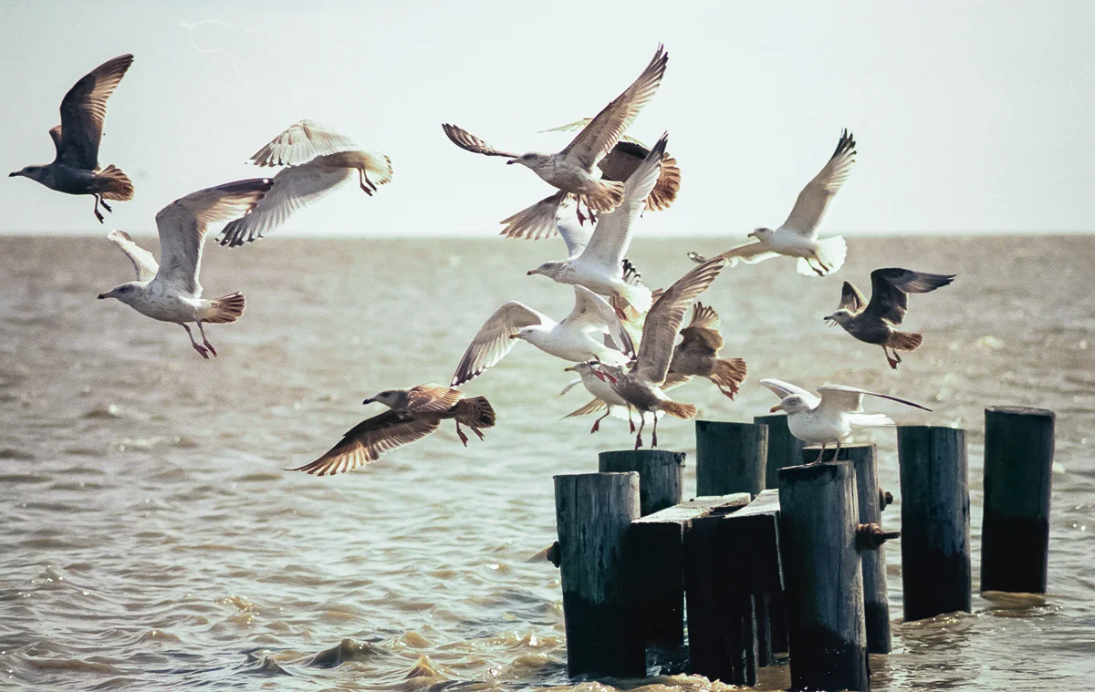 Port Mahon, Delaware