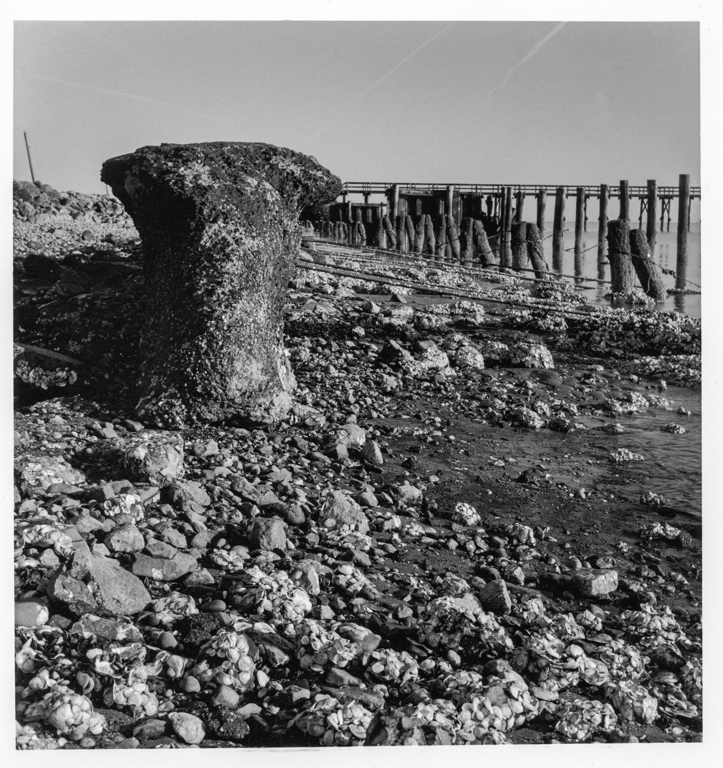 Coastal Cement