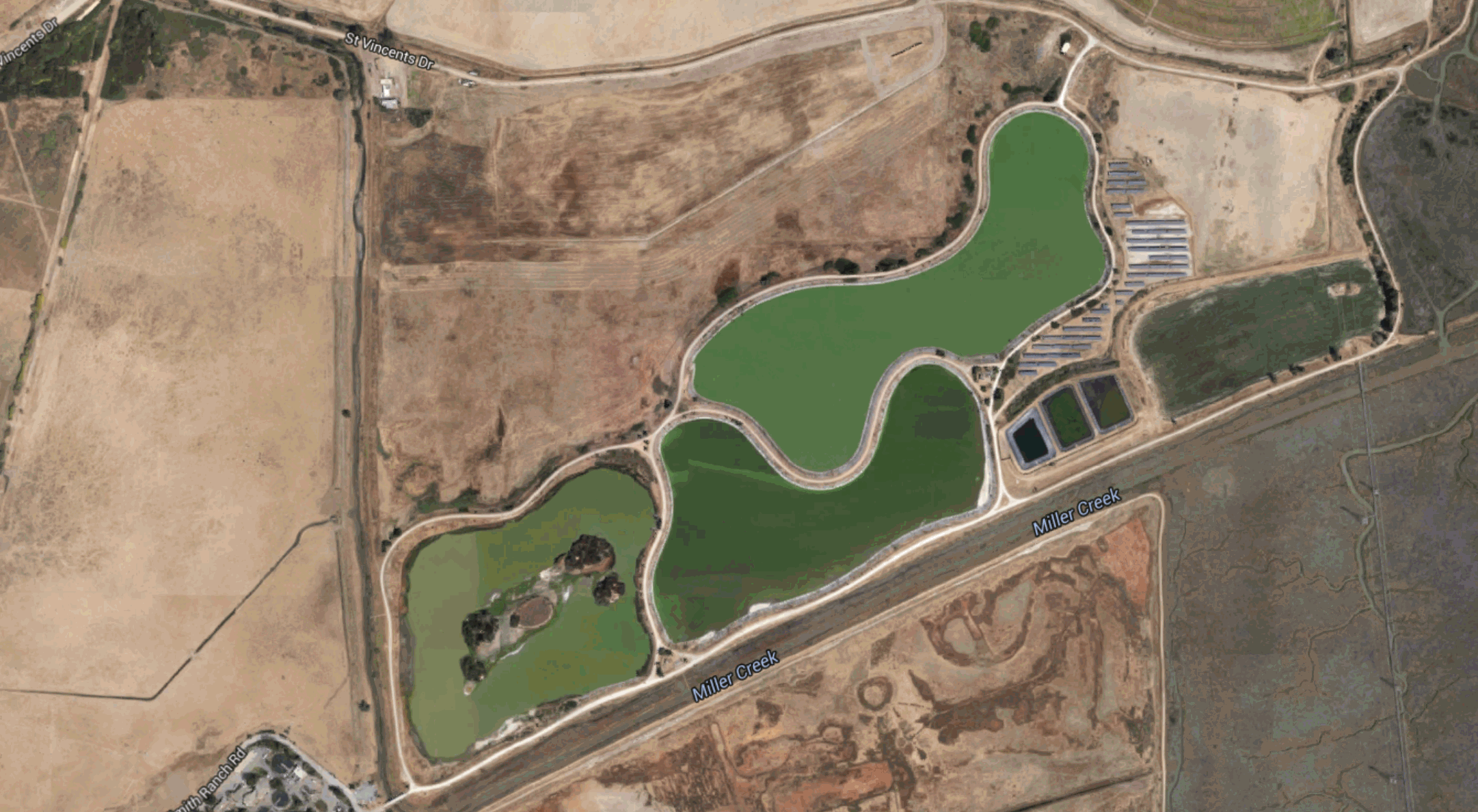 lgvsdponds2.gif