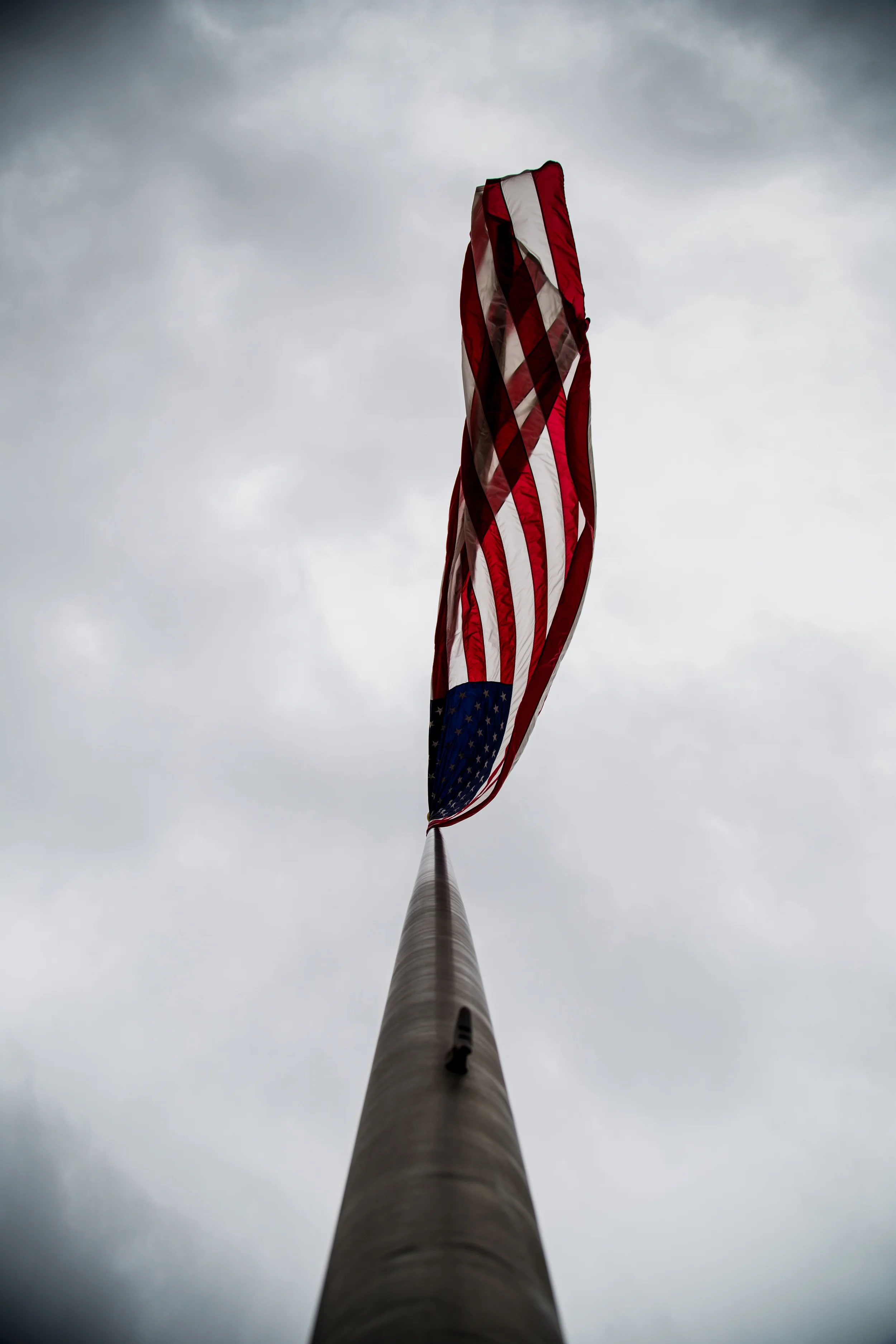 IMG_1441.jpg