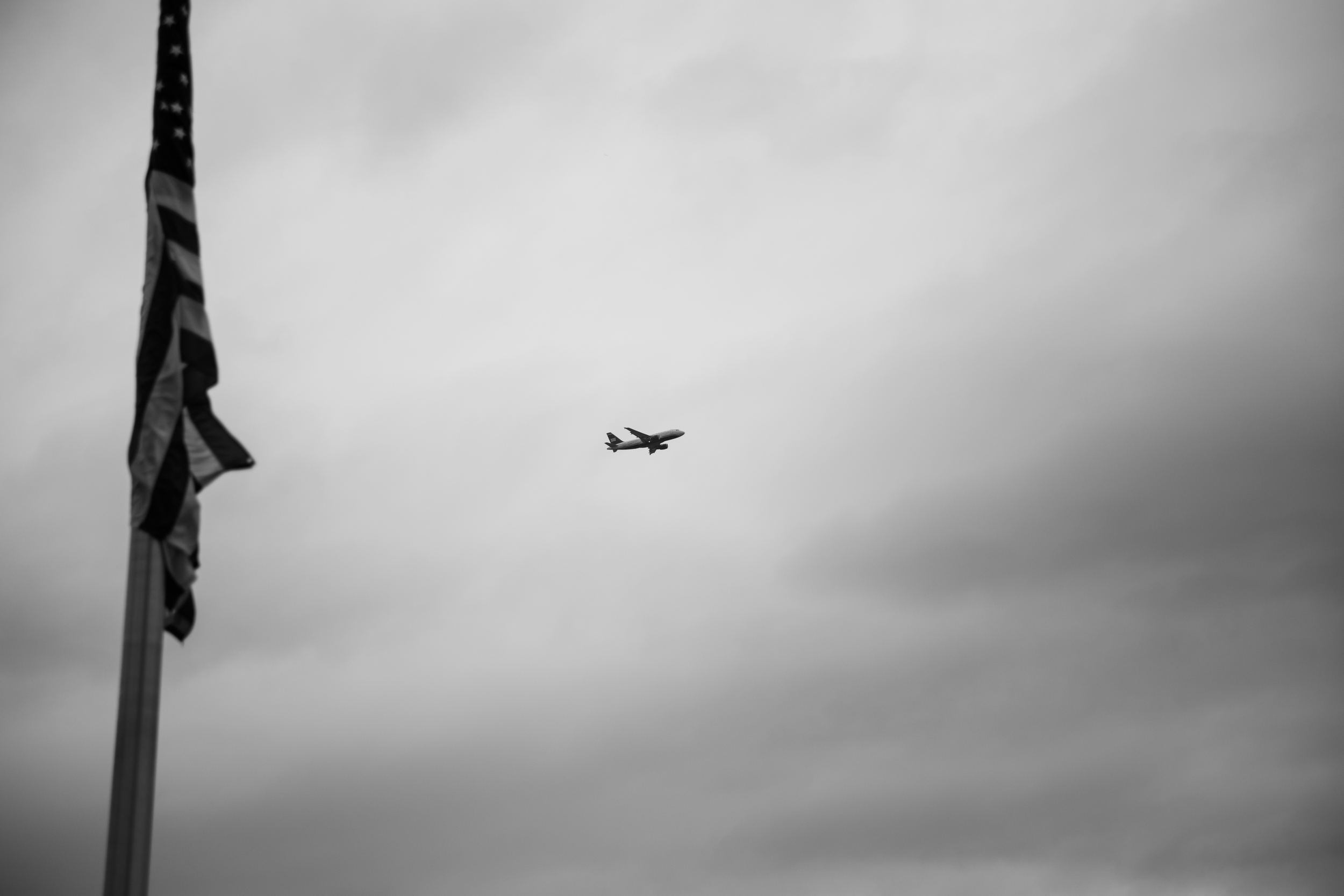 IMG_1498.jpg